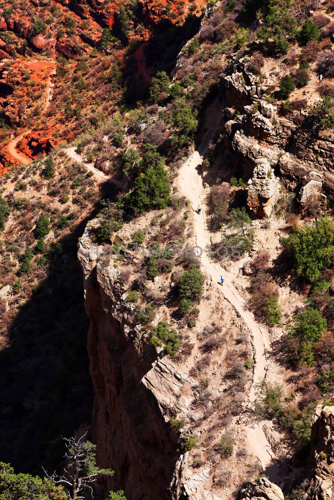 Hikers on Bright Angel trail in the Grand Canyon by Creatista