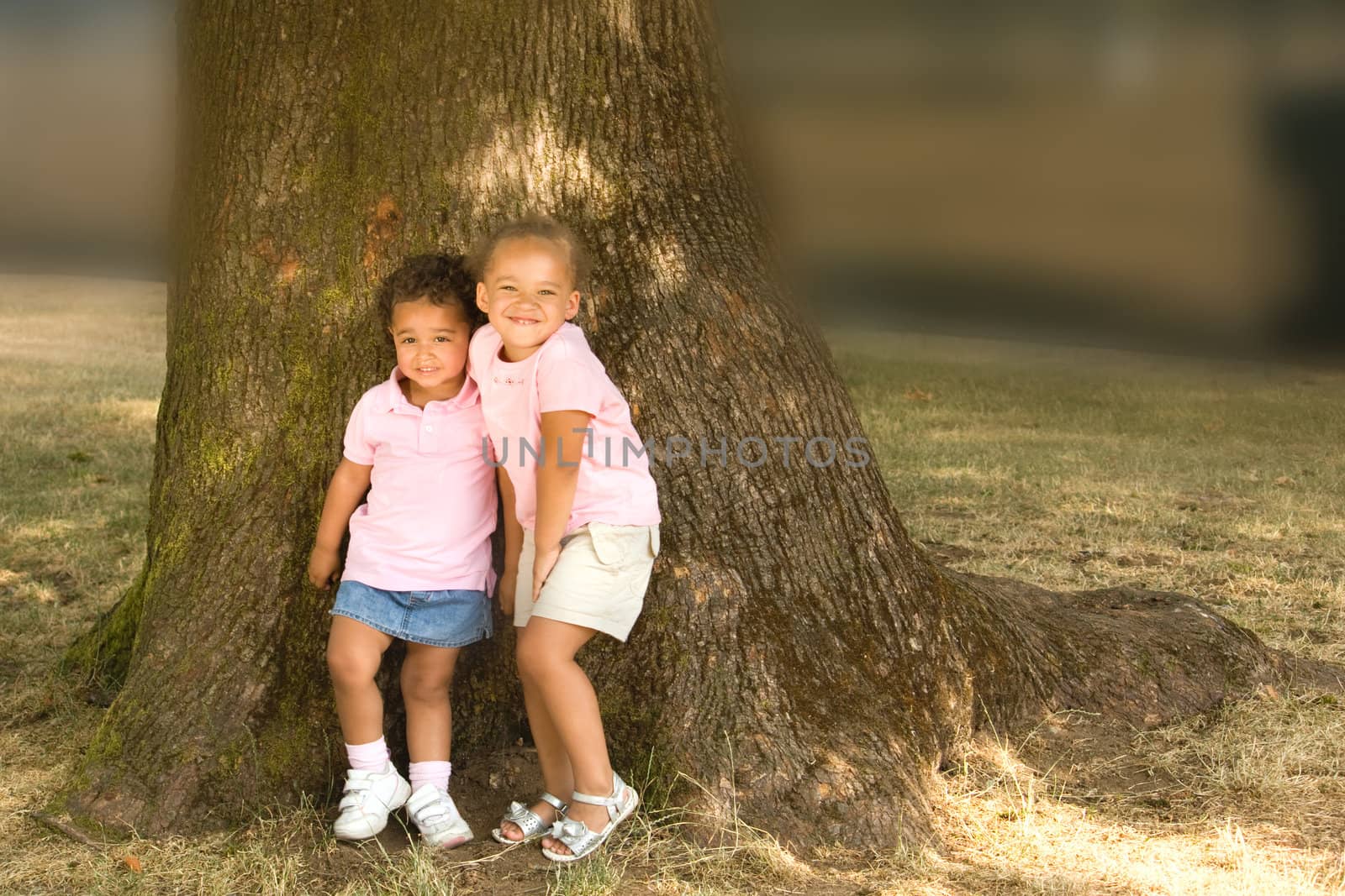 Two beautiful ethnic sisters little girls in the park posing against the base of a large tree trunk. 