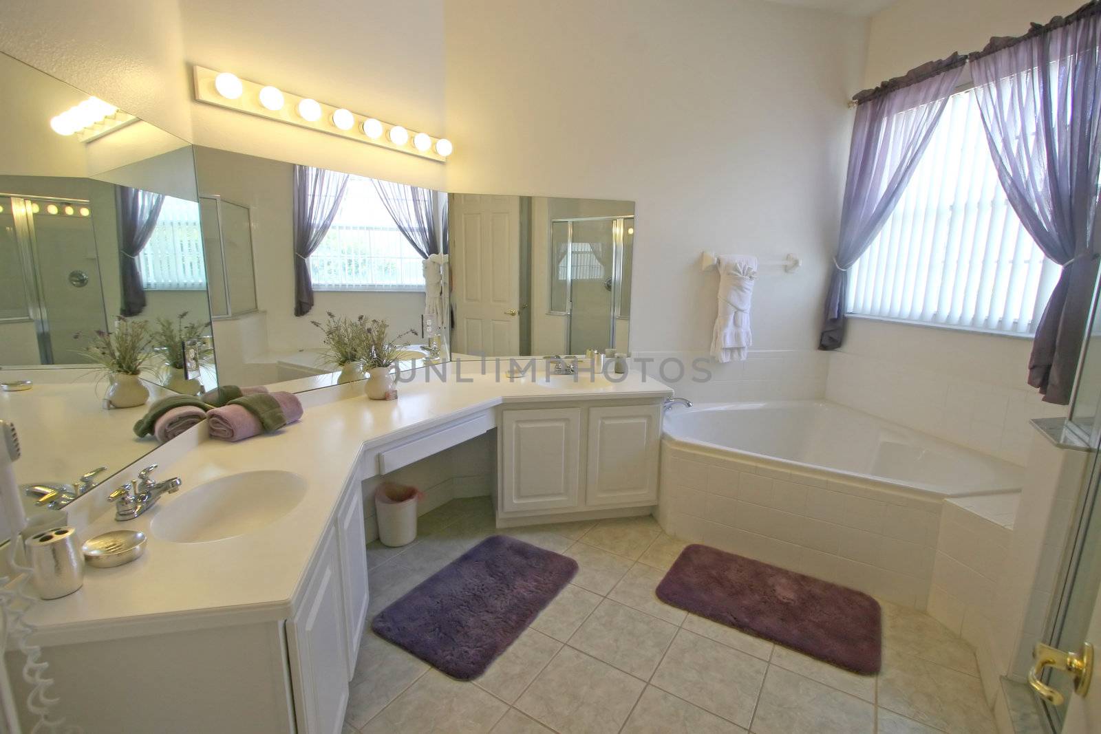 A Interior Shot of a Master Bathroom