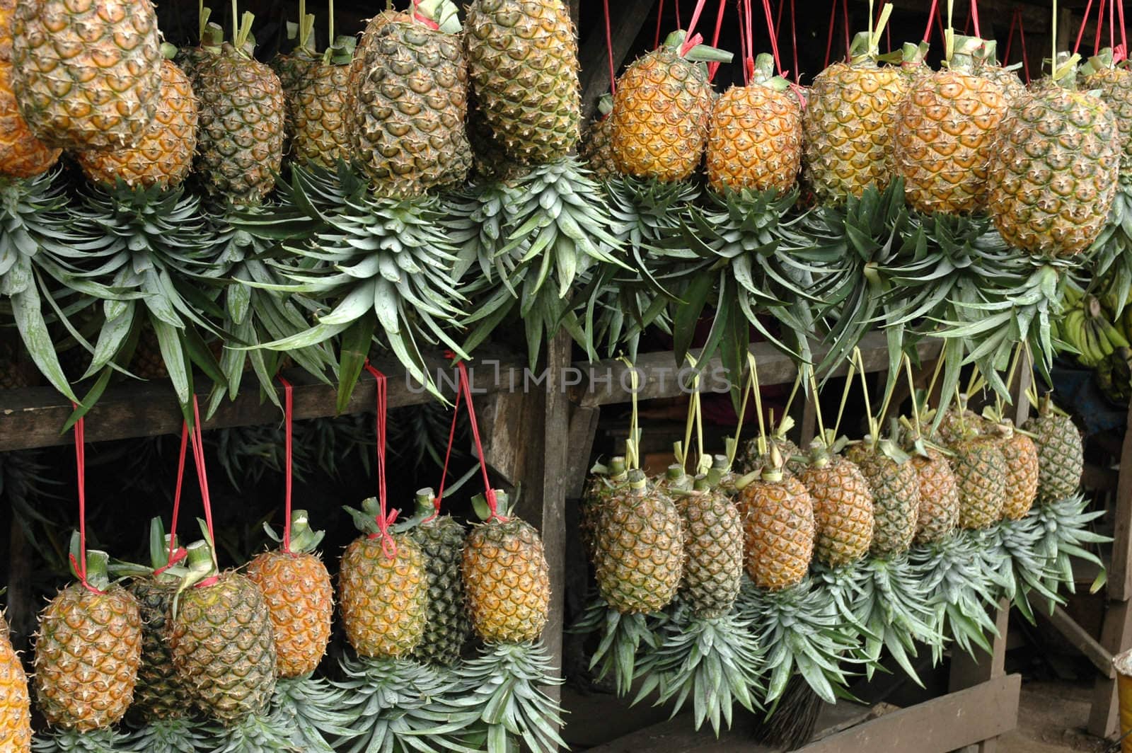 fresh pineaple fruits that sold in traditional market