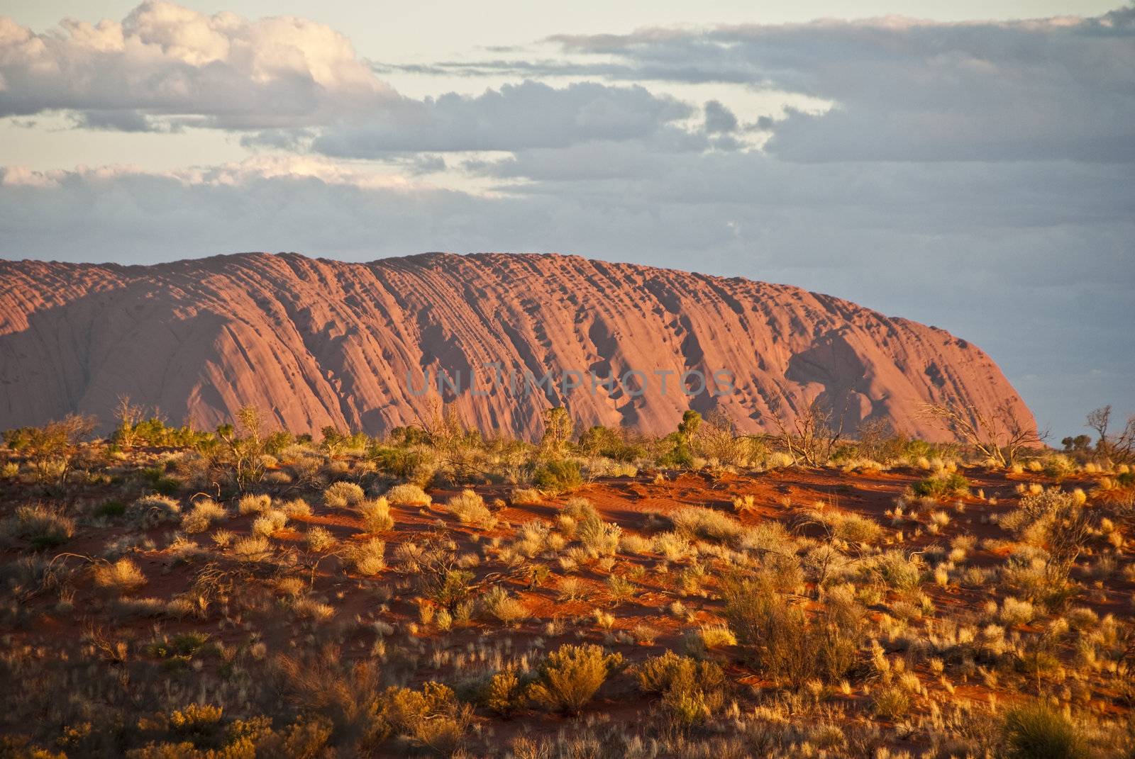 Detail of the Ayers Rock National Park, Northern Territory, Australia, August 2009