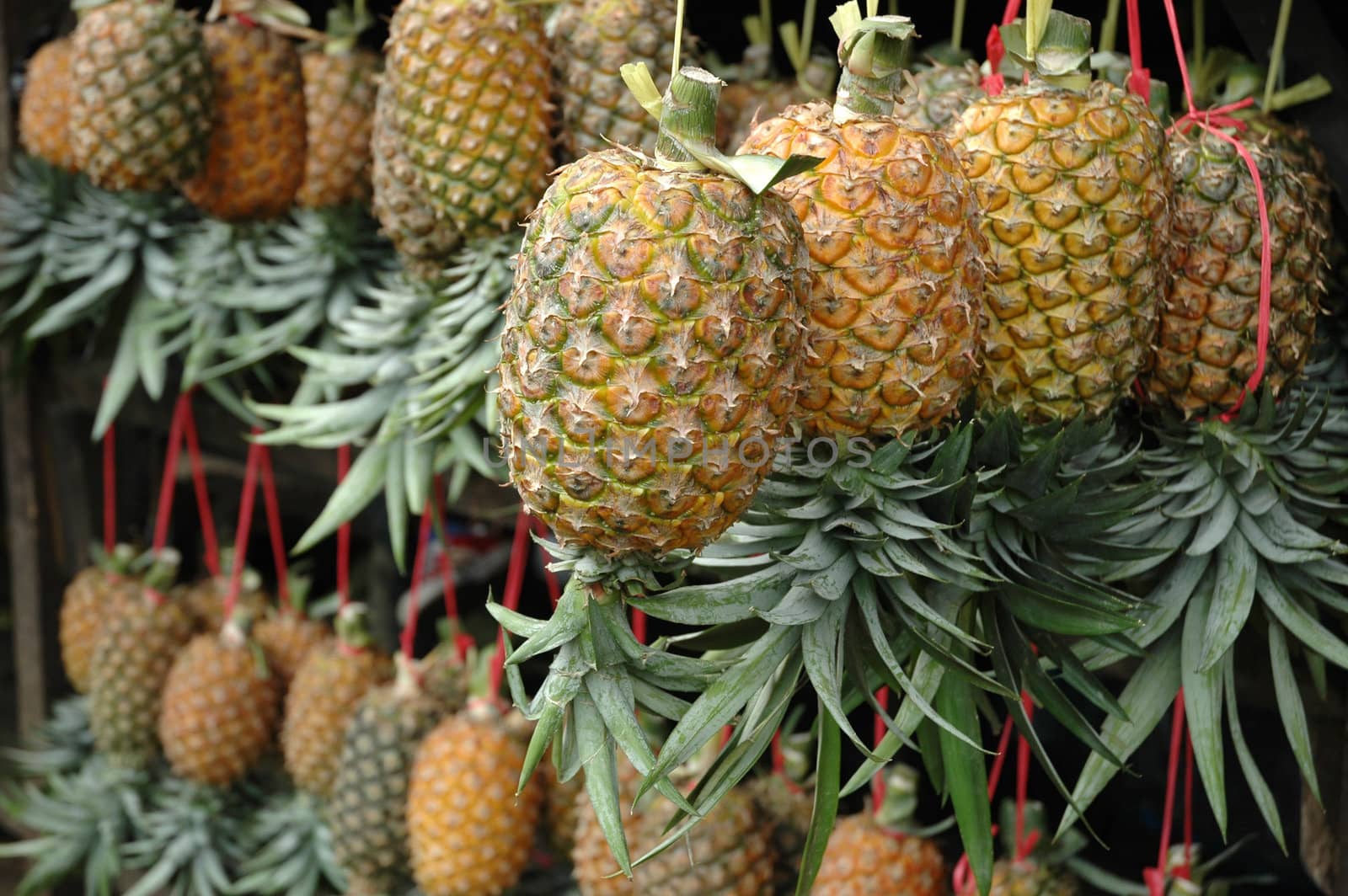 fresh pineaple fruits that sold in traditional market
