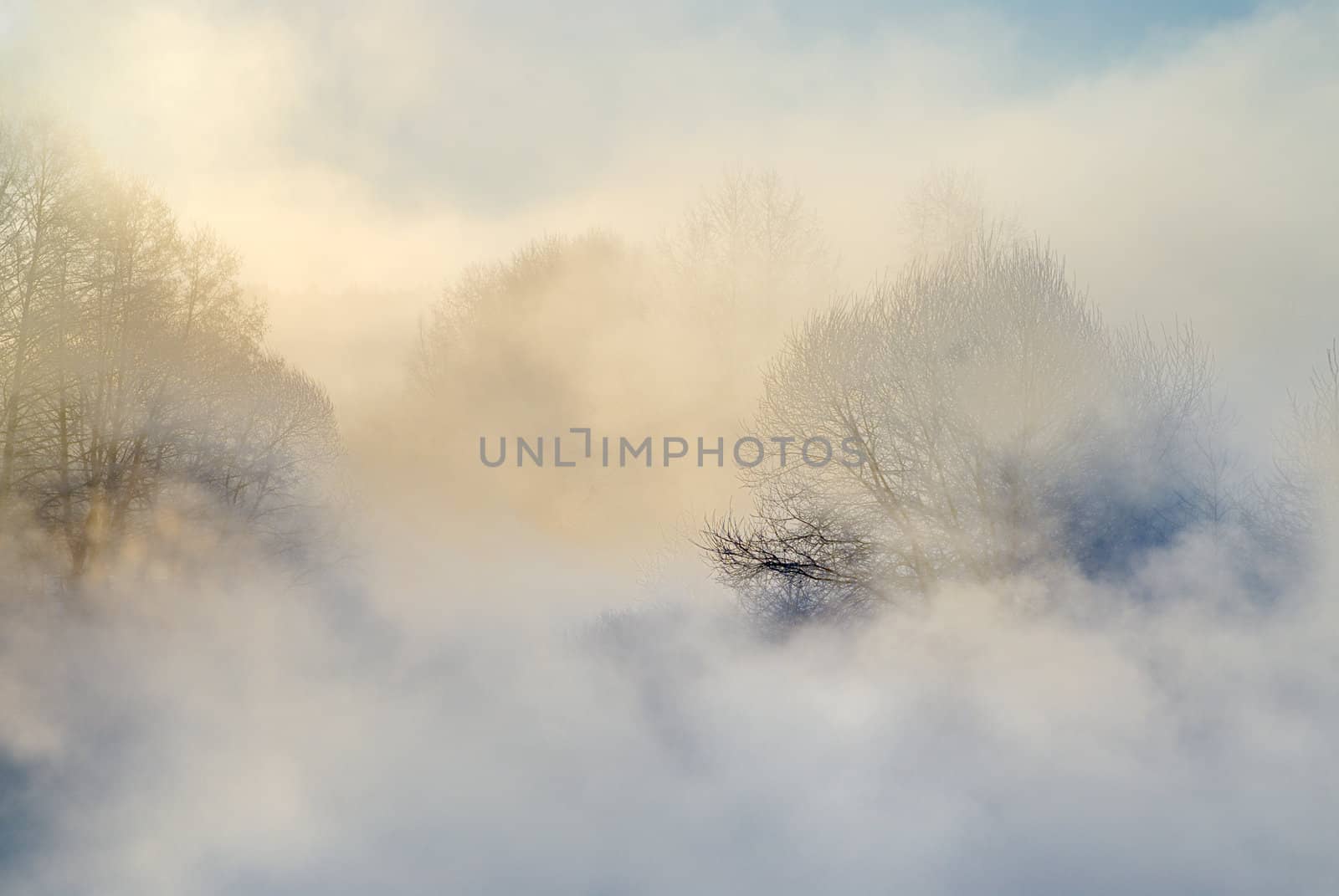 Early morning, strong cold, frosty a smoke. 