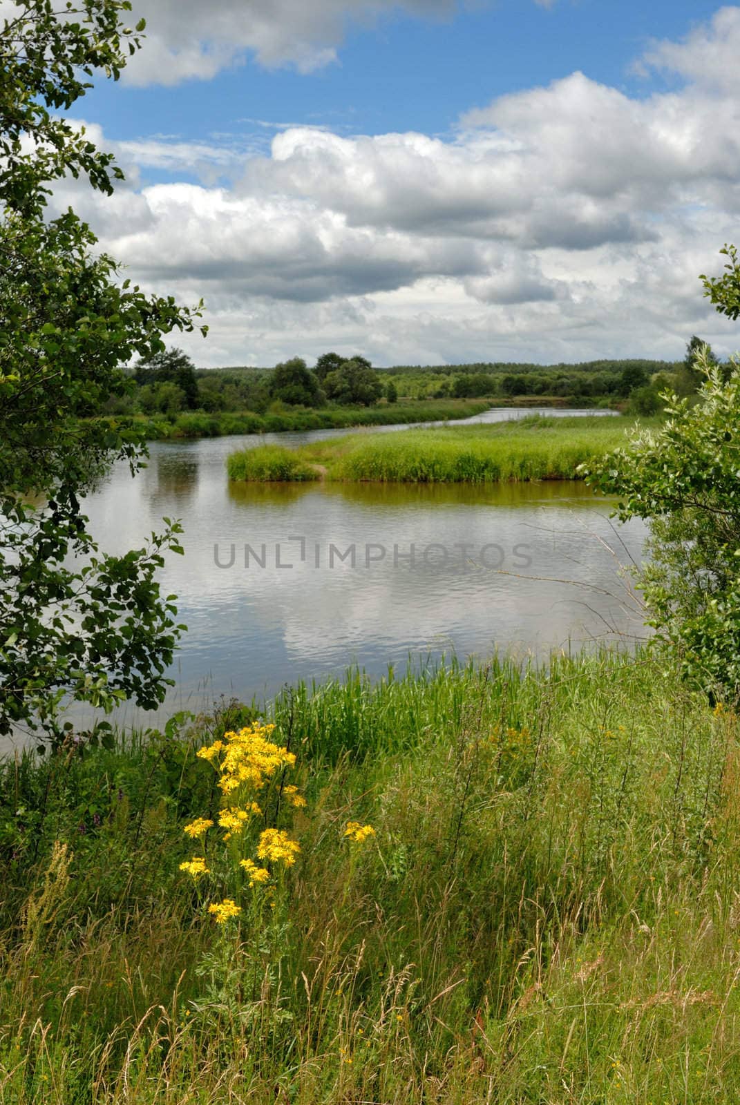 The river with island, a grass on coast, clouds in the sky and their reflexion in water. 