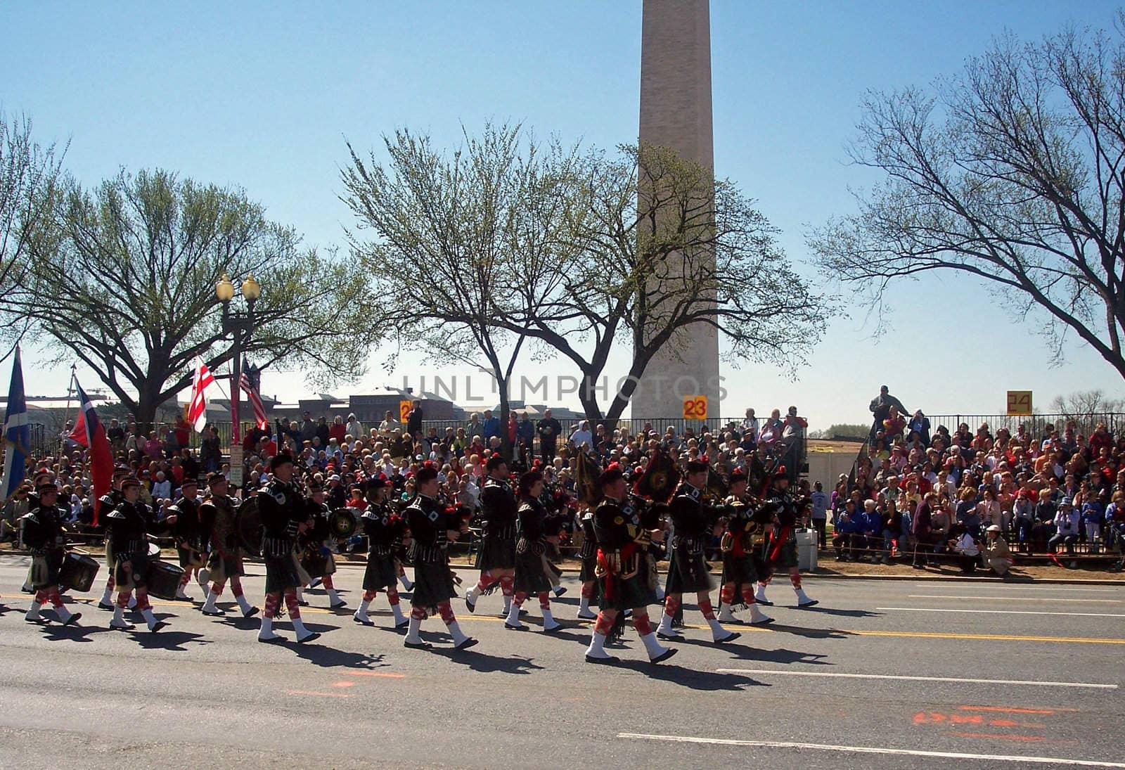 Scottish pipe and drum corp marches in the Washington, DC Cherry Blossom Festival Parade.
