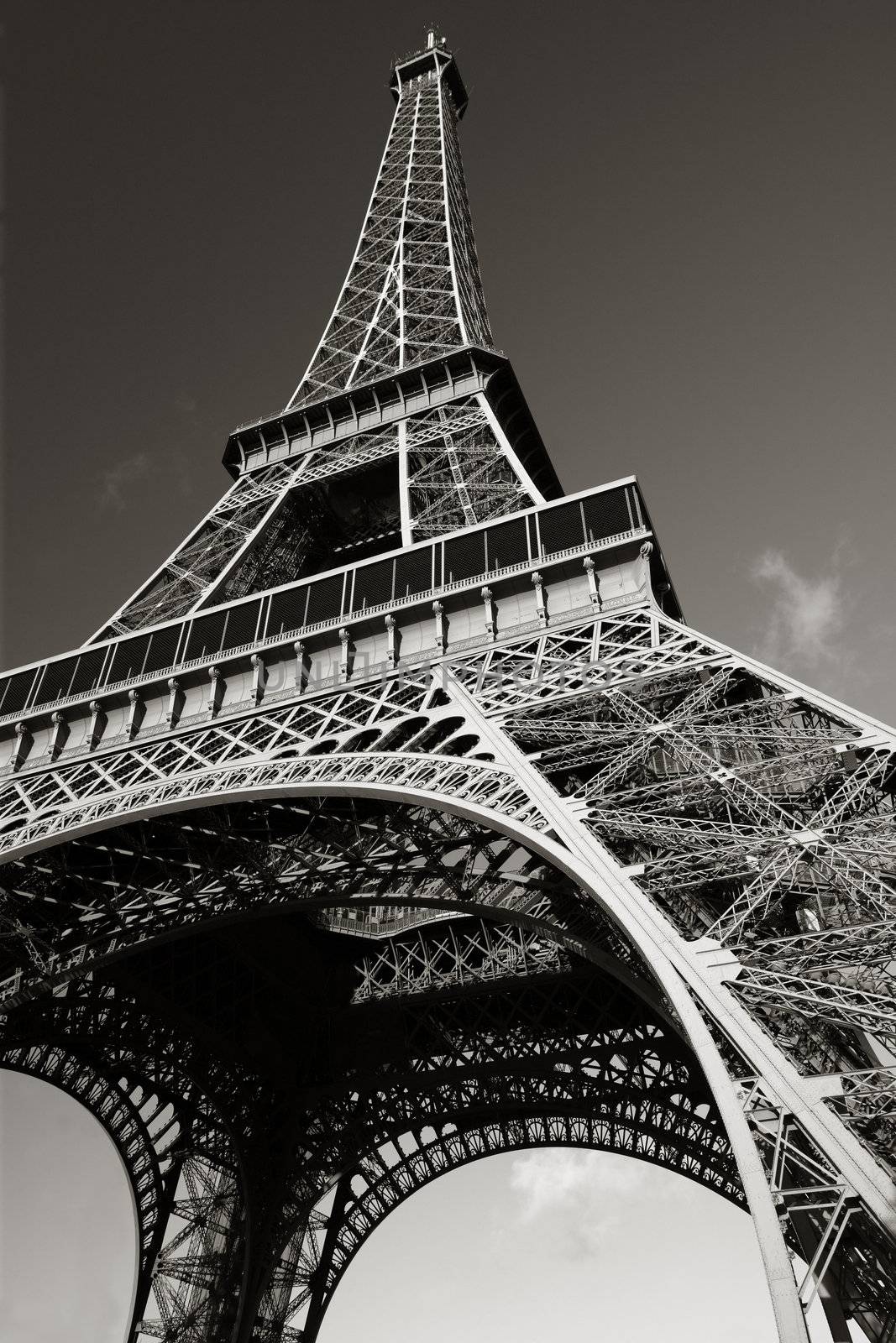 The Eiffel Tower by sumners