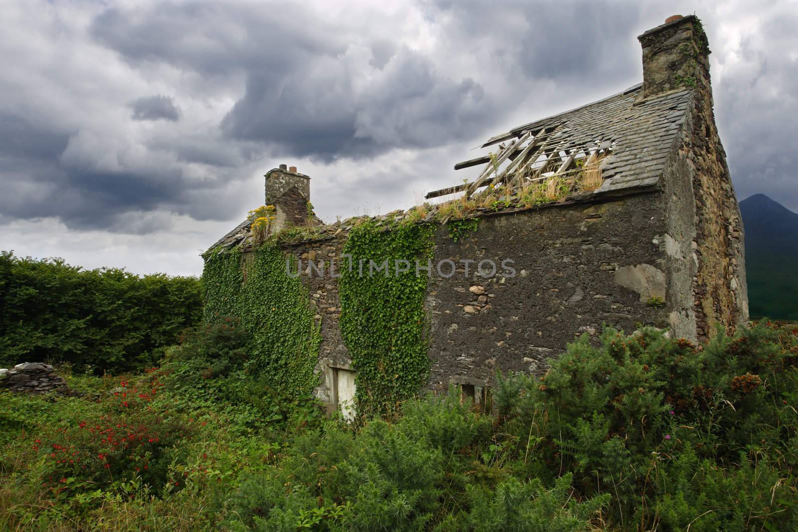 A derelict house somewhere in Ireland.
