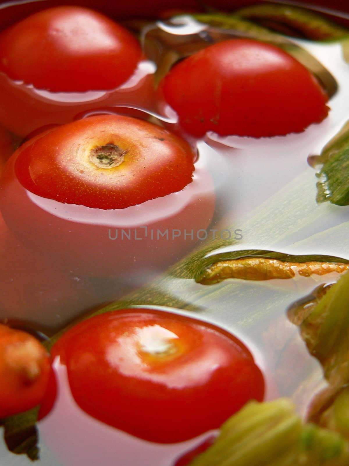 tomatoes vegetables in the water