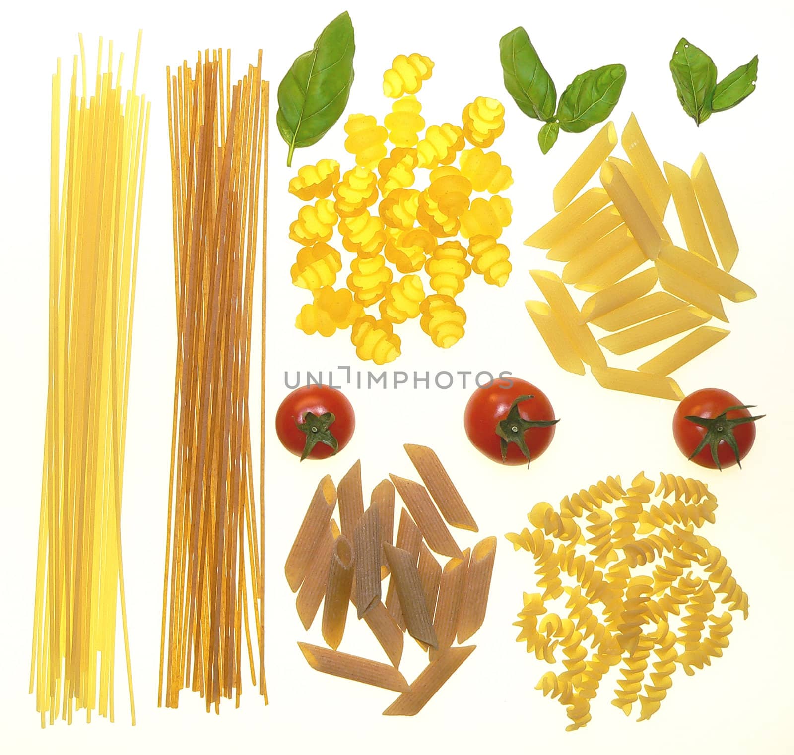 different types of pasta with tomatoes and basil