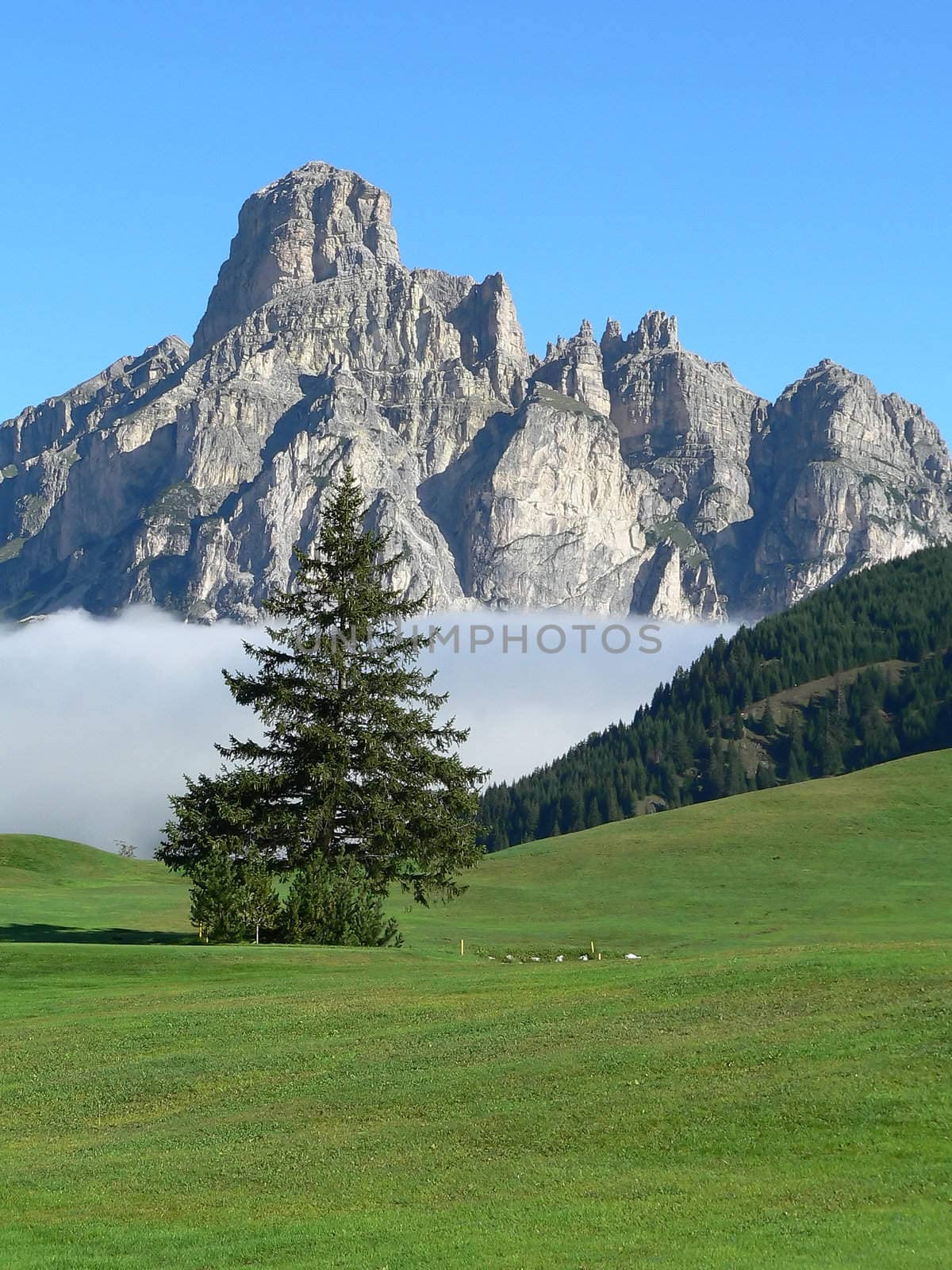 mountain landscape with tree and clouds