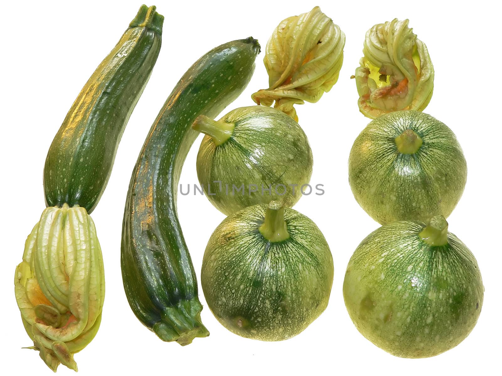 courgettes with flowers close up