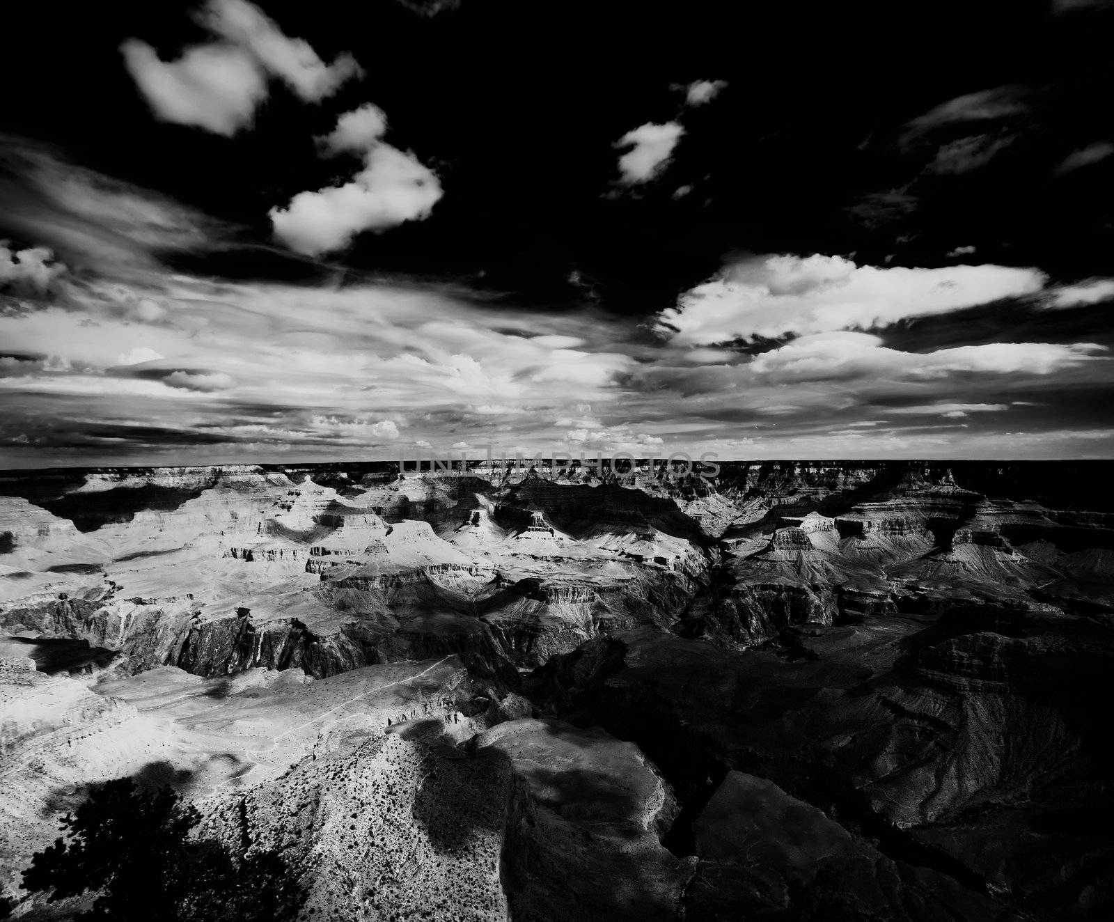 Light and shadow playing on texture of the Grand Canyon featuring Bright Angel Trail