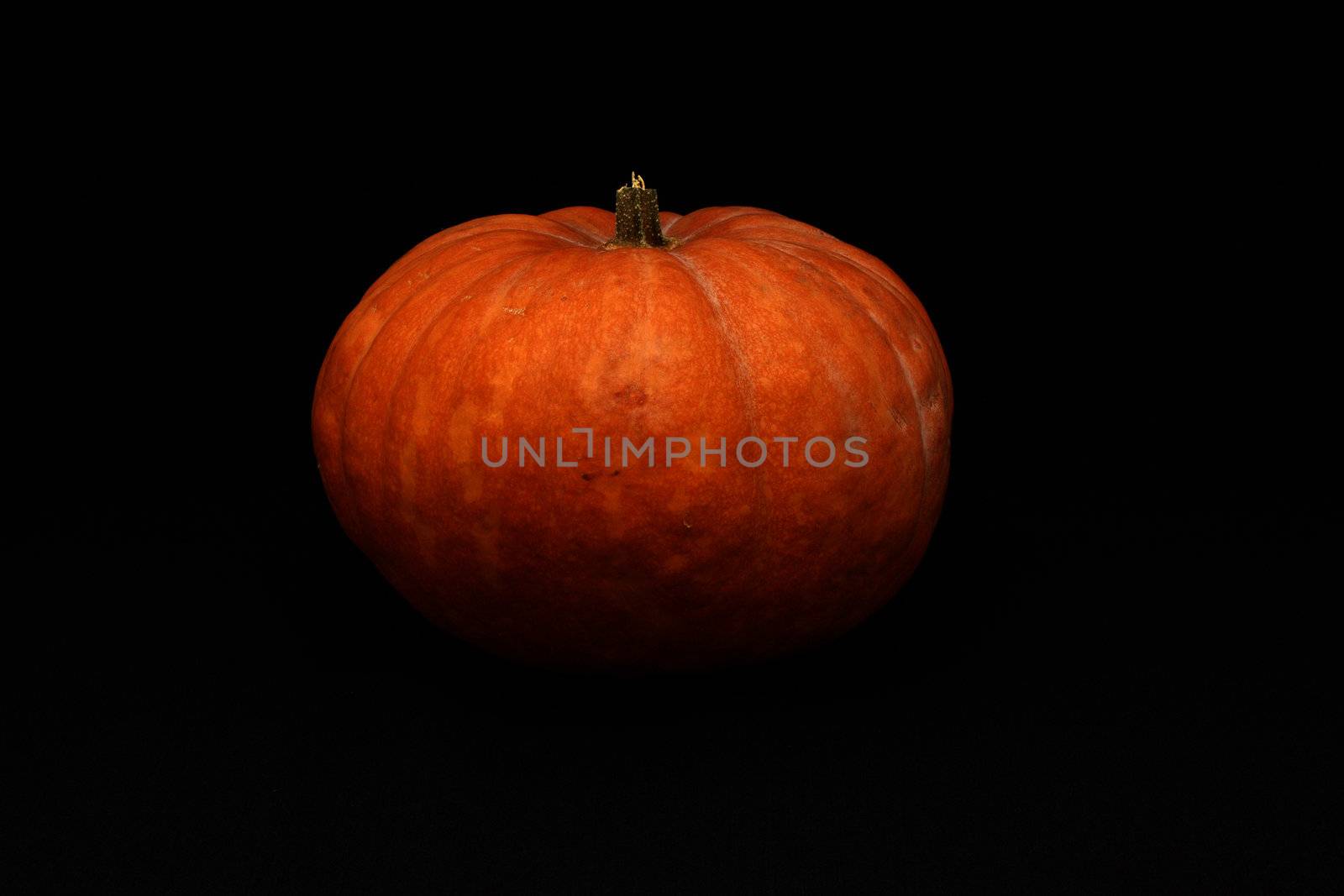 Halloween pumkin isolated on dark background by eshatilo