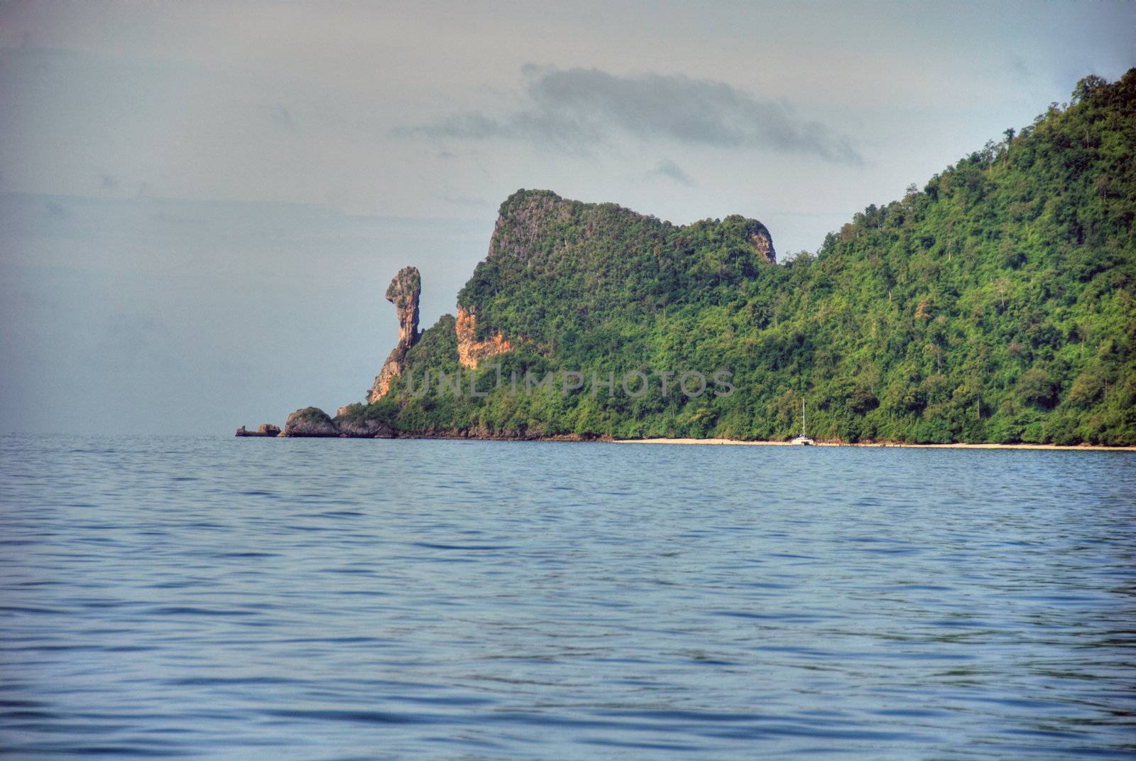 Detail of Chicken Island with water and vegetation