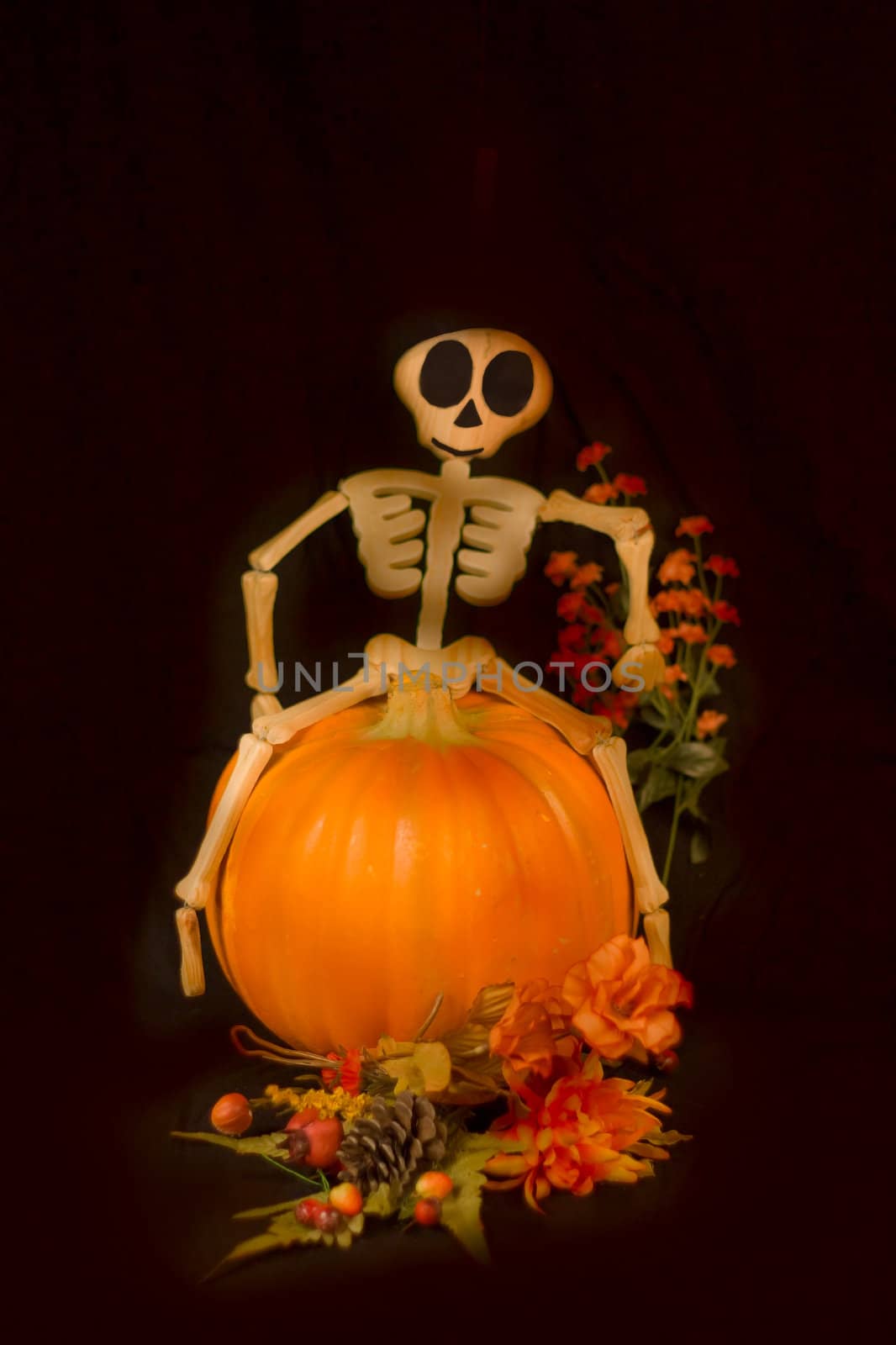 Fall Harvest Halloween with Smiling Skeleton and Pumpkin on a black background.
