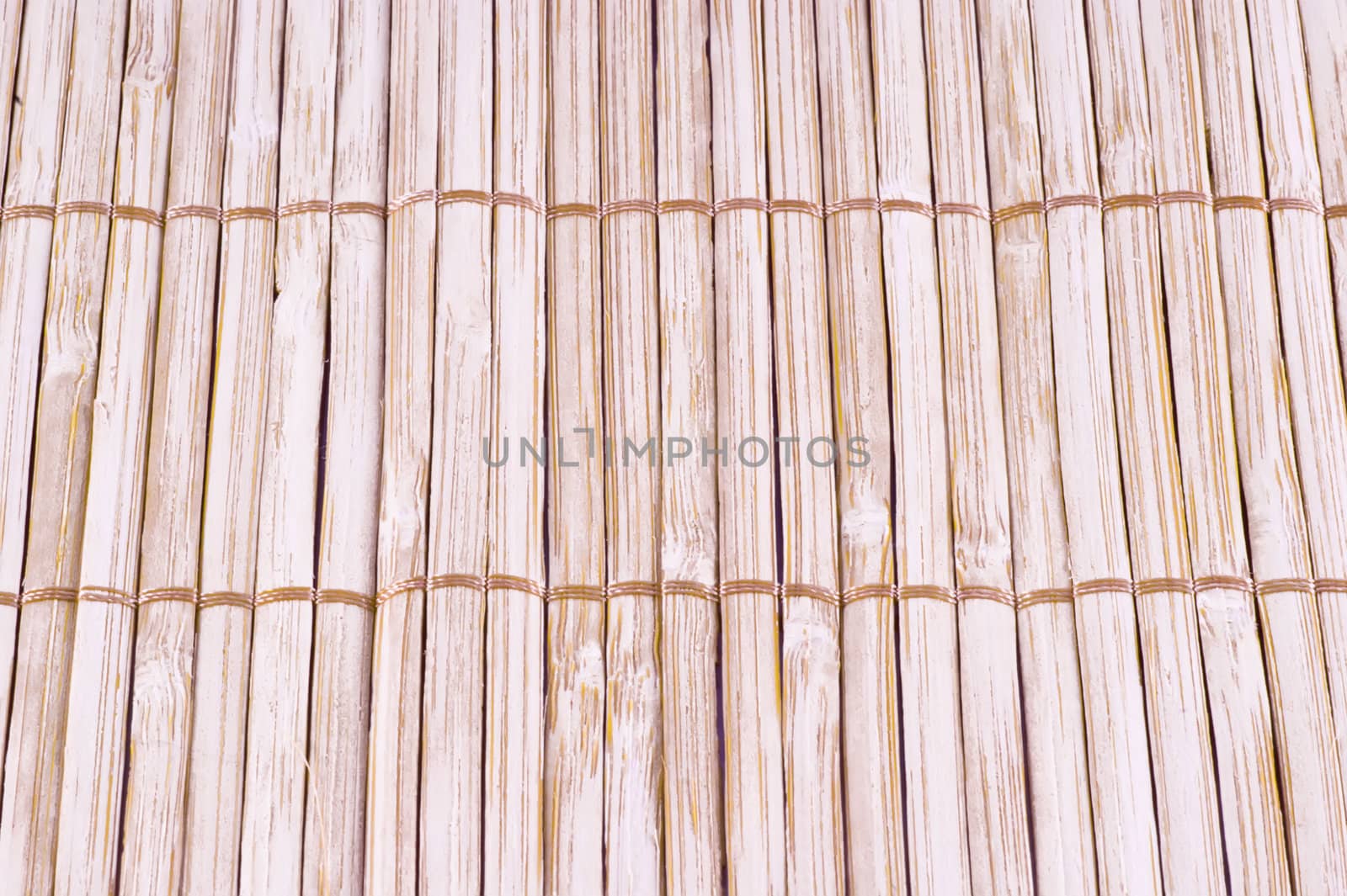 Bamboo background.