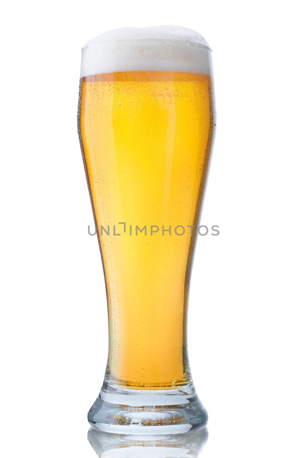 Fresh glass of pils beer with froth and condensed water pearls isolated on white background 
