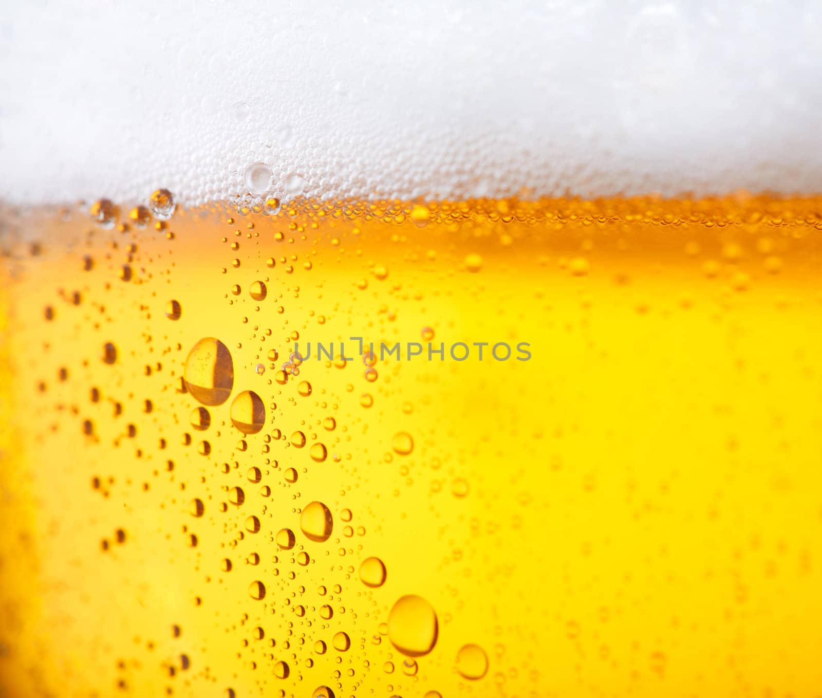 Fresh  beer with froth and condensed water pearls