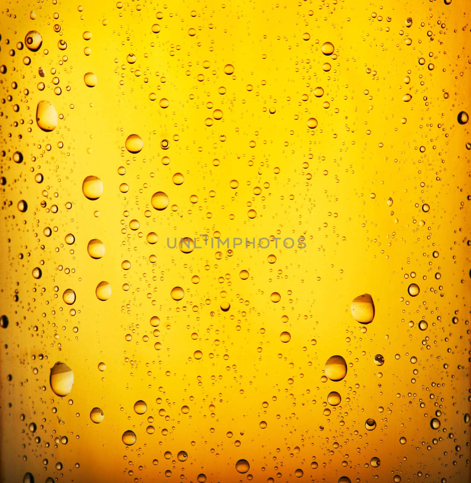 Fresh  beer with condensed water pearls. Closeup view.