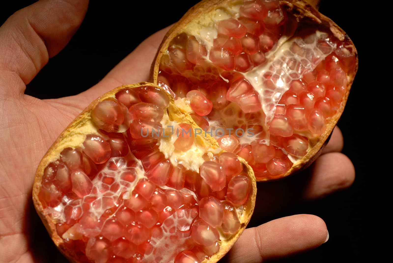 pomegranate fruit on hand by keko64