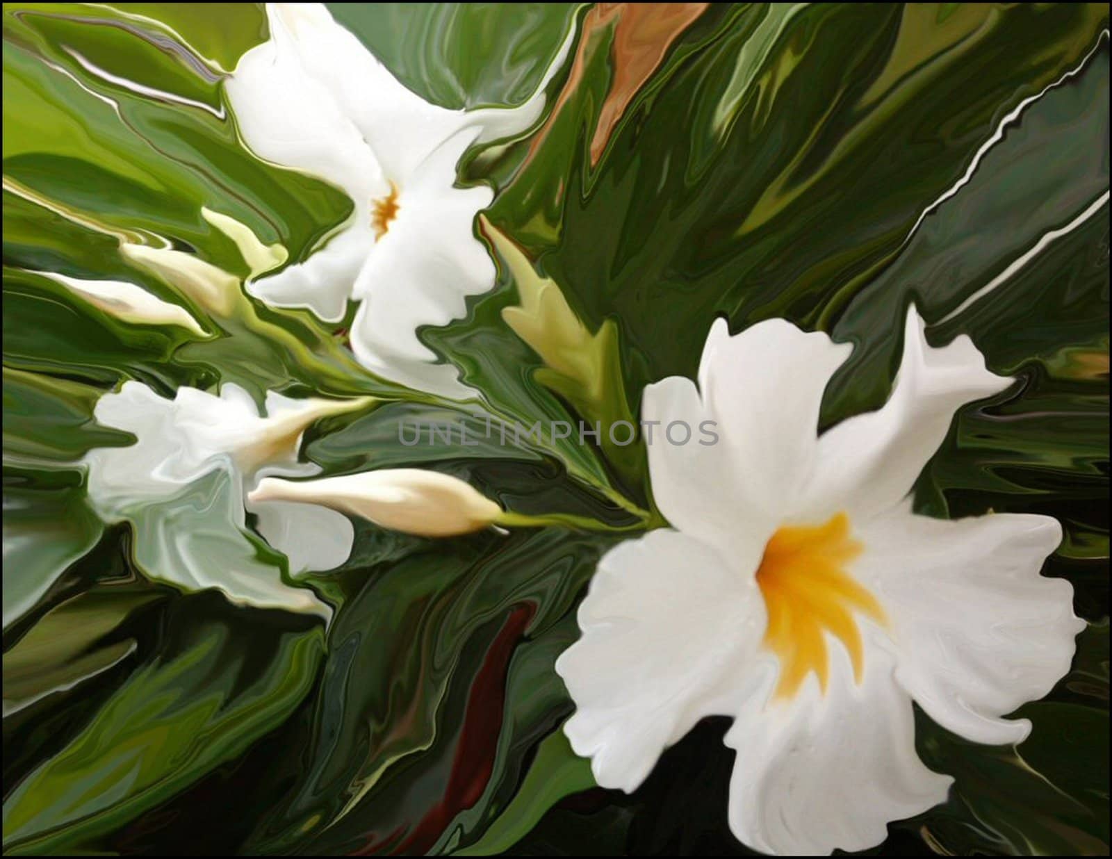 Surreal image of a bouquet of white Jasmine flowers.