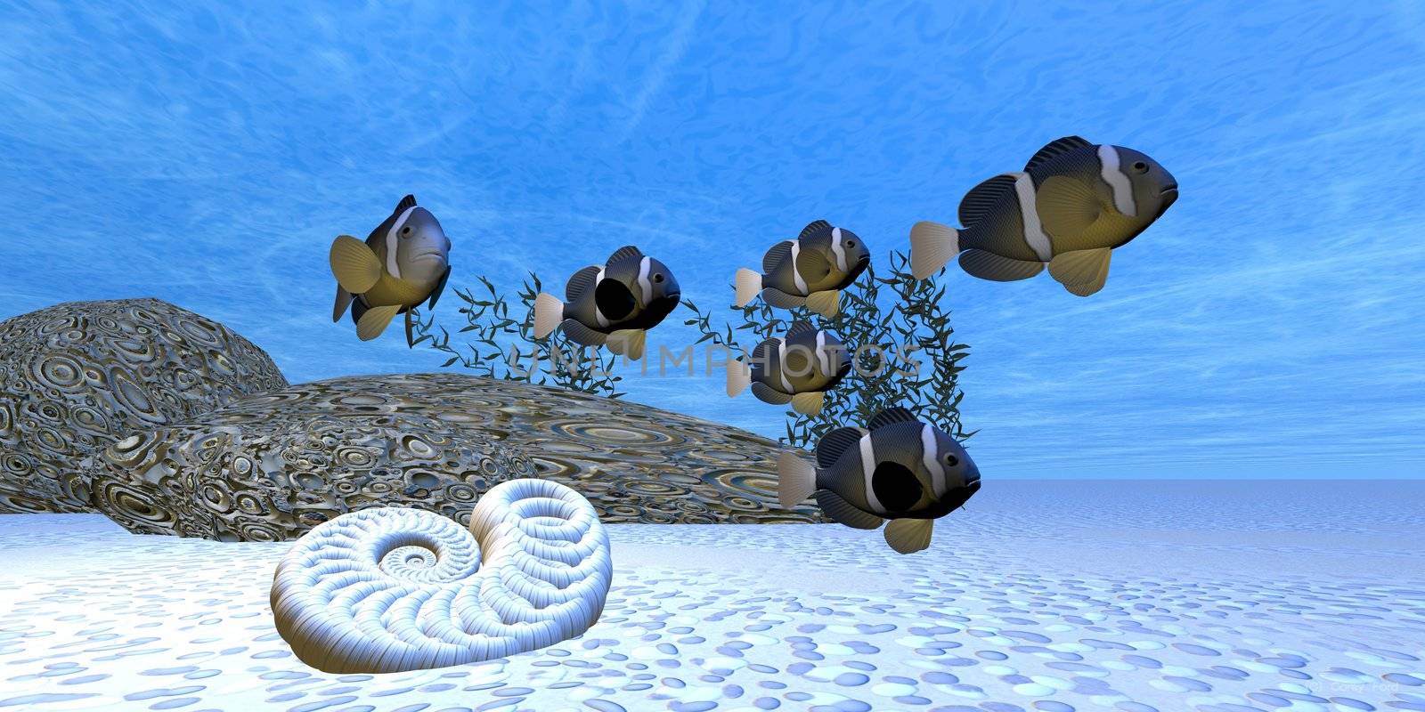 A school of fish swim on a beautiful sandy reef.