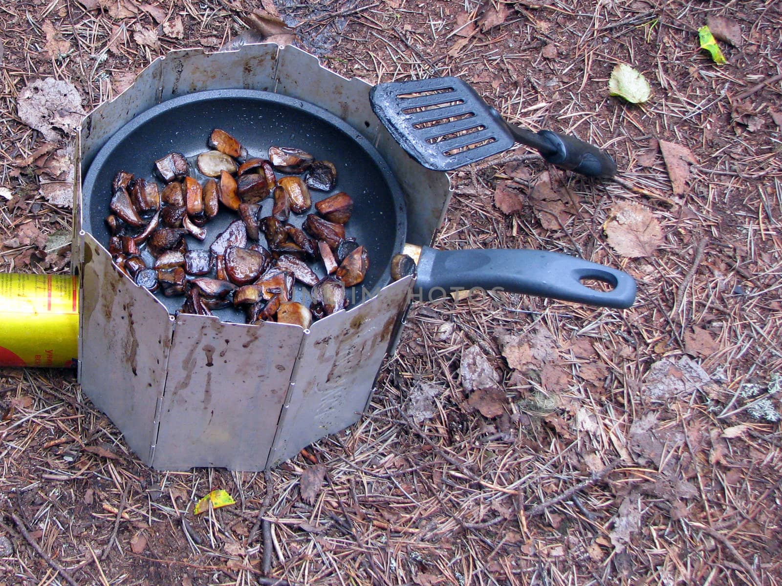 Dinner in camp conditions.  Preparation of fungi on a gas stove