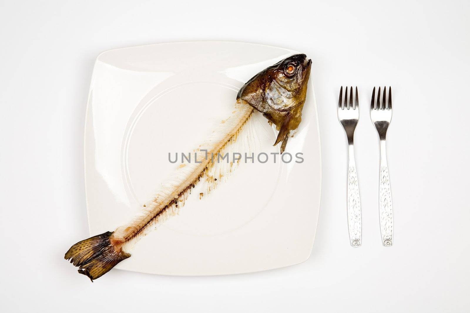 eaten fish with head and tail - symbol of misery