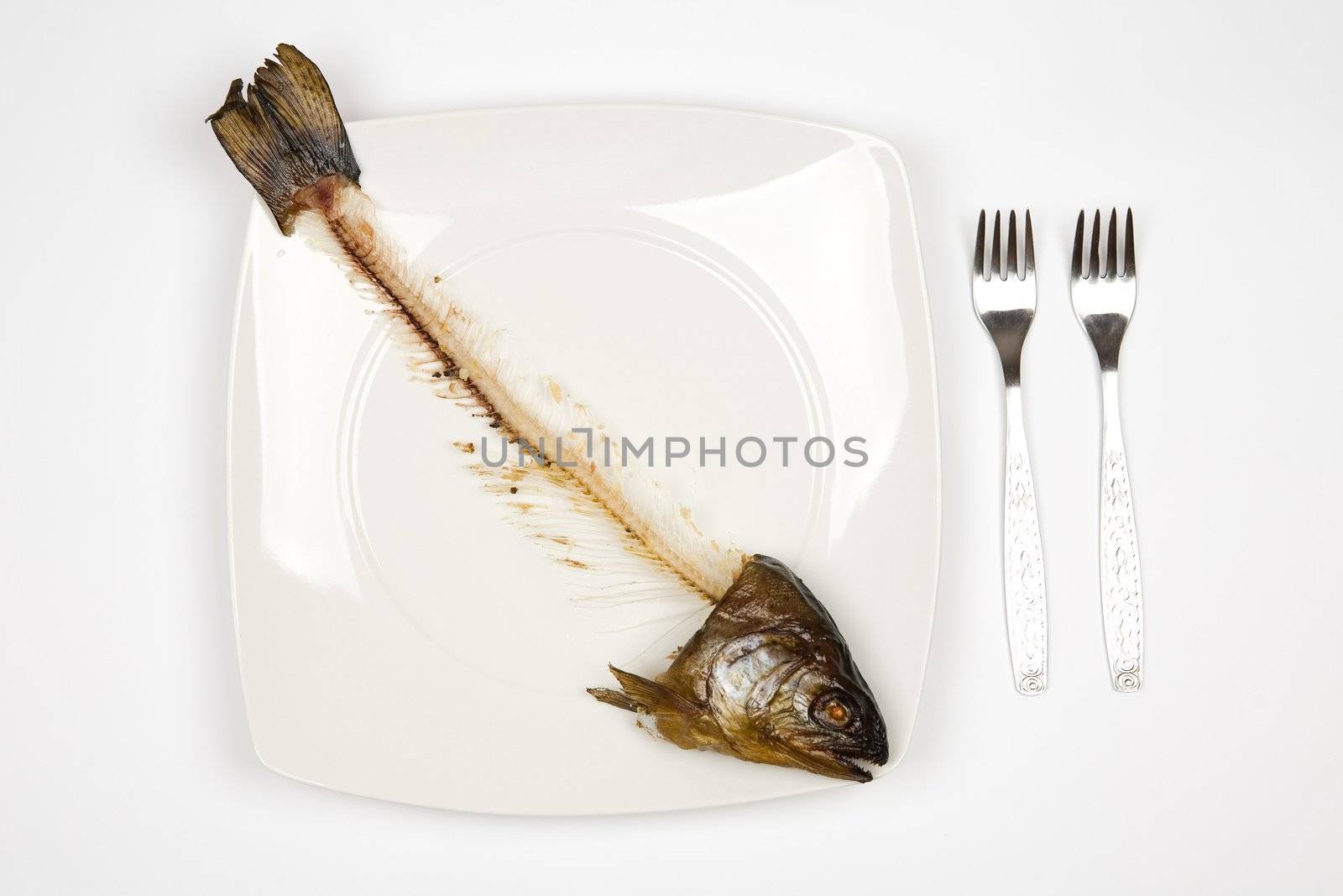 eaten fish by furzyk73
