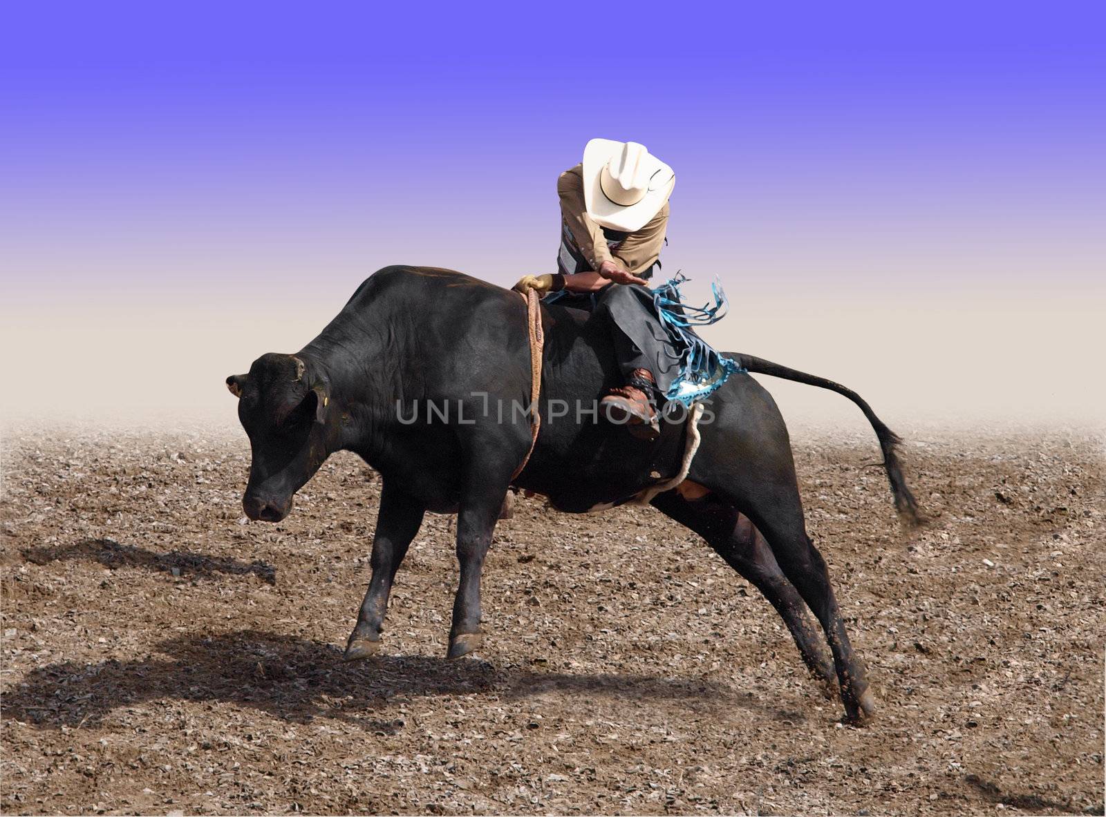 Cowboy Riding a Bull by MargoJH