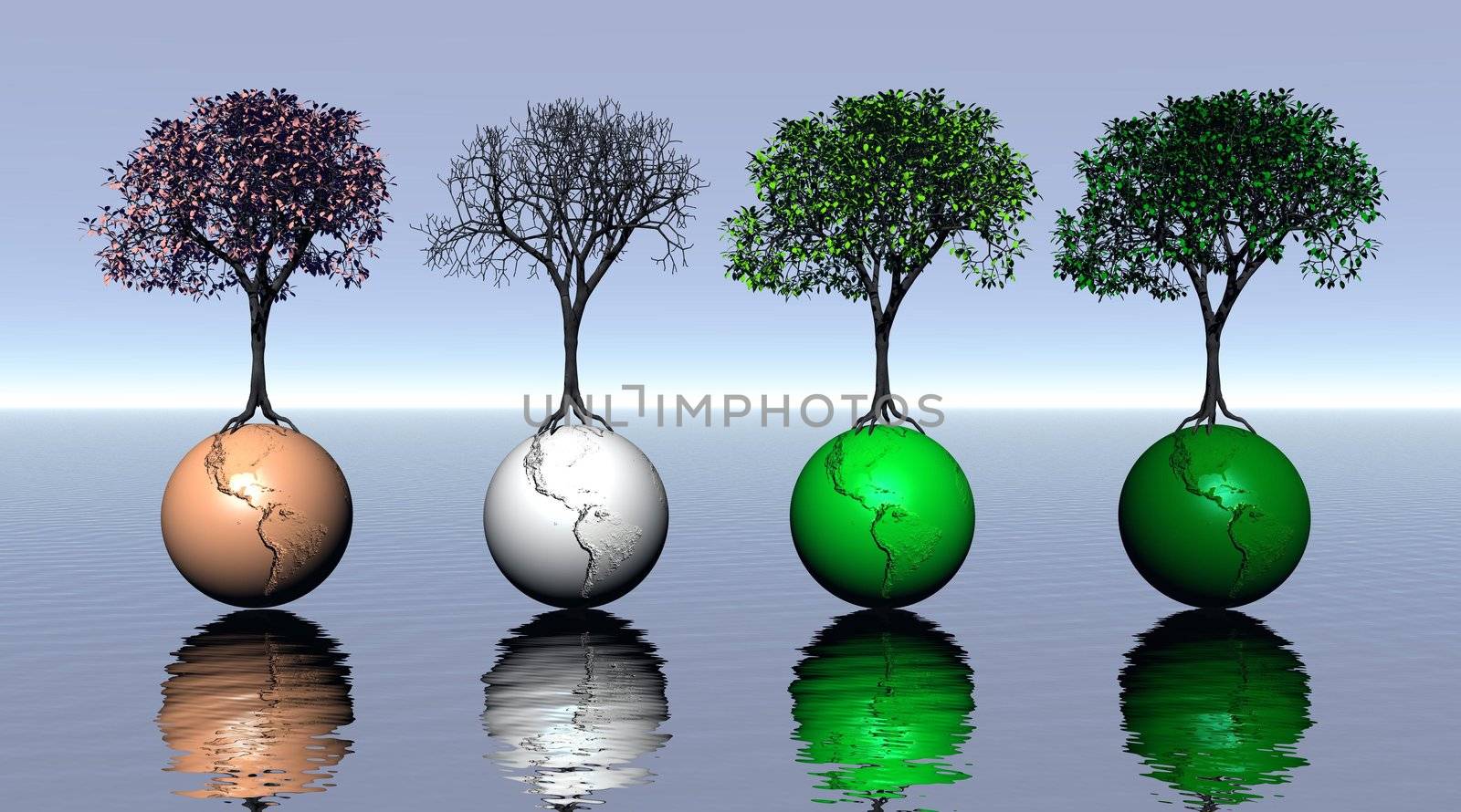 Four colored trees and earth for four seasons upon quiet sea