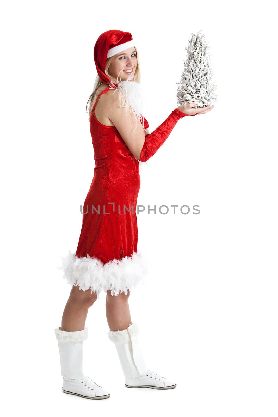 Cute young girl in santa outfit with small christmas tree on her hand