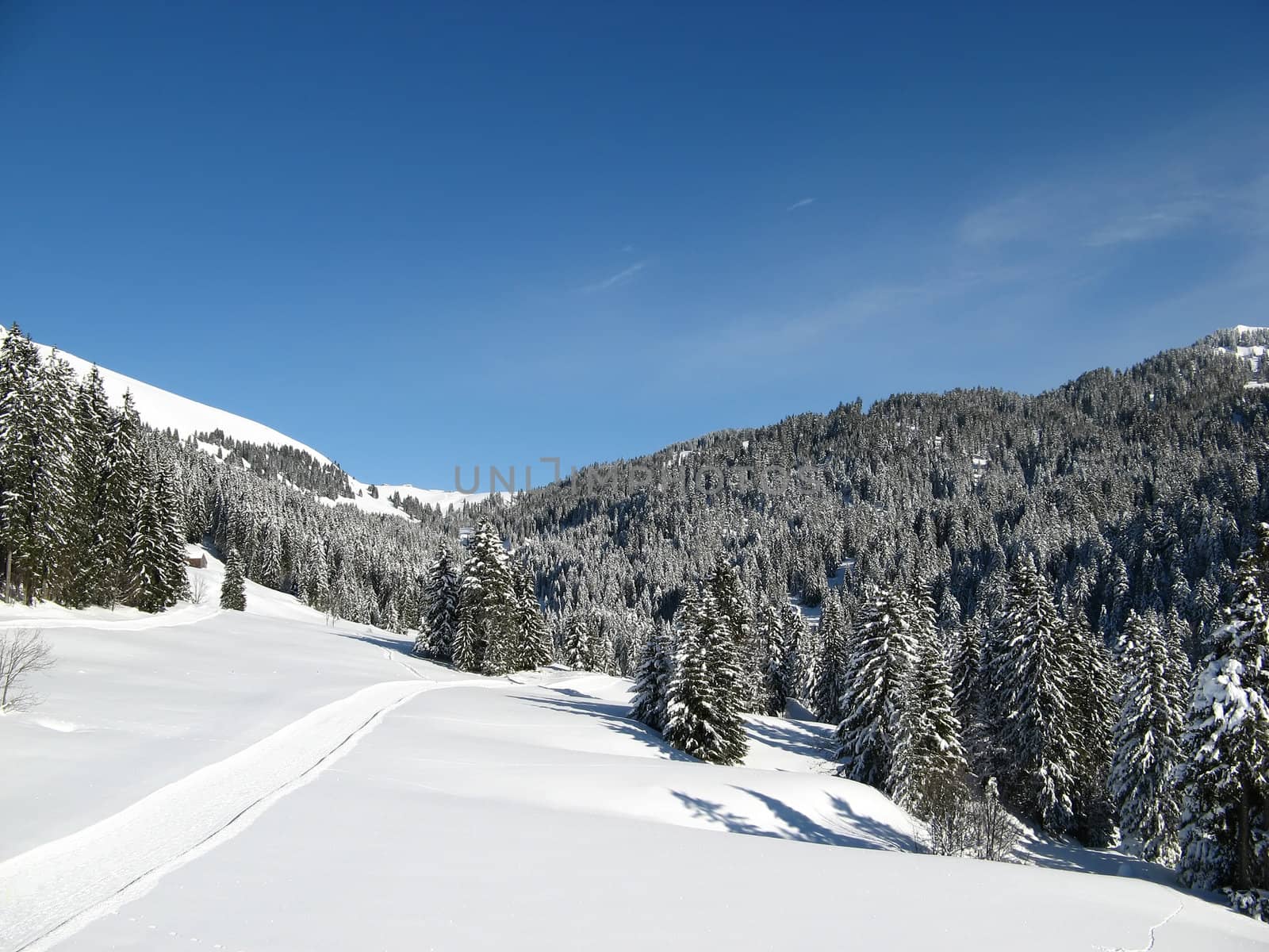 Winter hiking route near Amden (Switzerland)