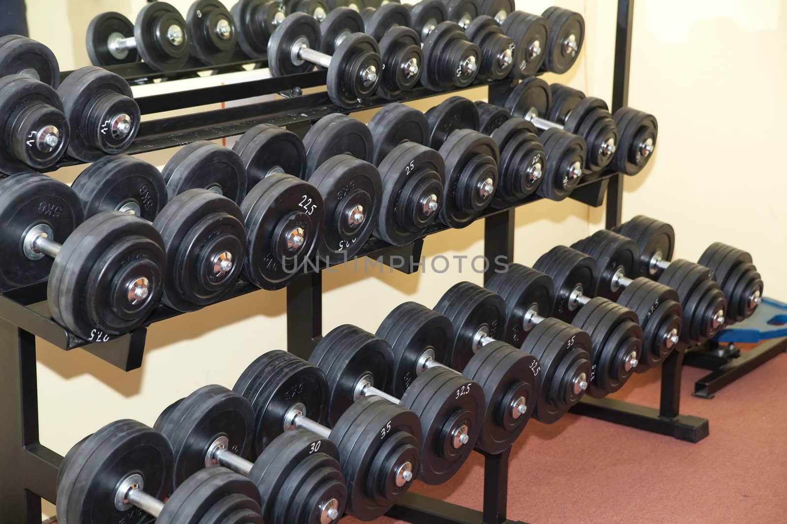 lots of dumbbells in the modern gym