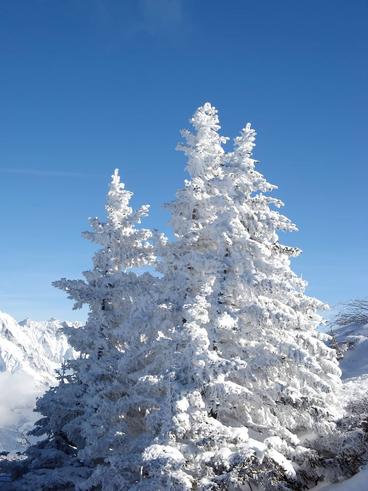 Winter montain landscape in swiss alps