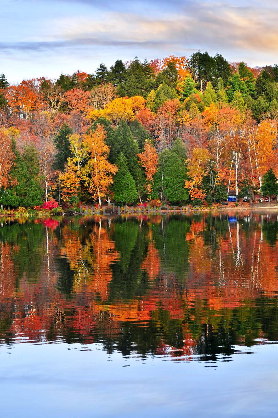 Forest of colorful autumn trees reflecting in calm lake