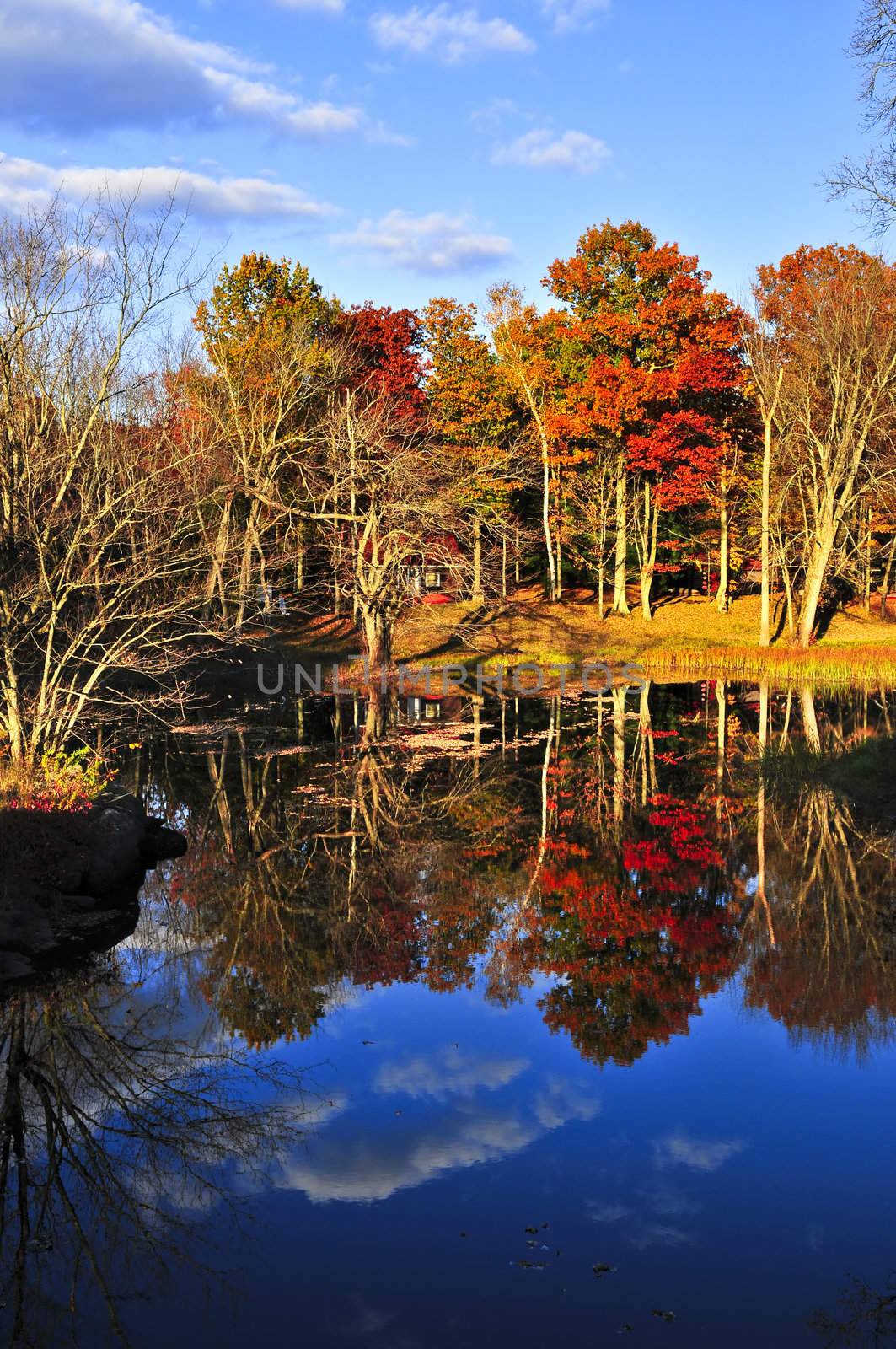 Forest of colorful autumn trees reflecting in calm lake