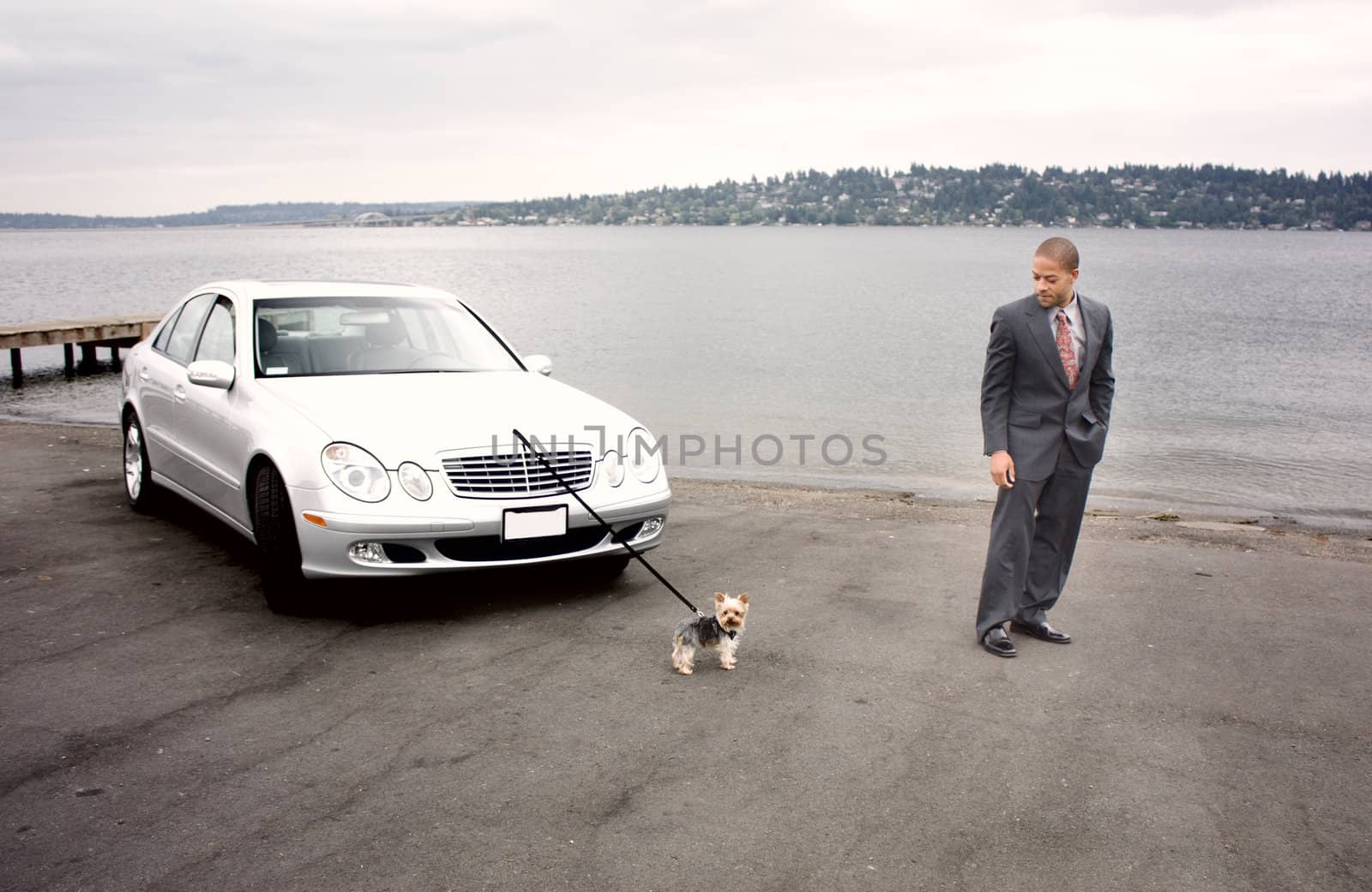 Business Man Luxury Car and Dog at Lake next to a pier.