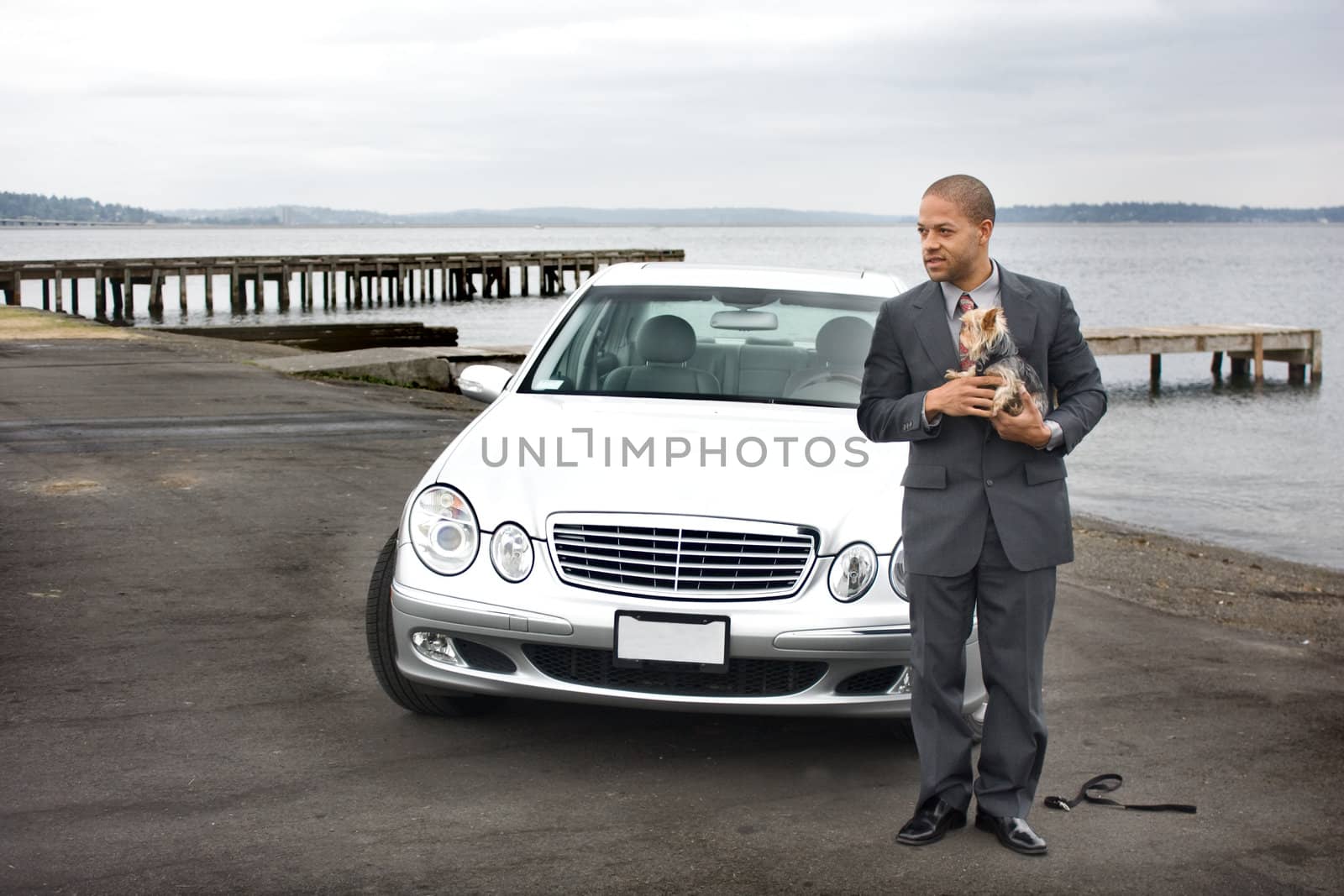 Business Man Luxury Car and Dog at Lake next to a pier.