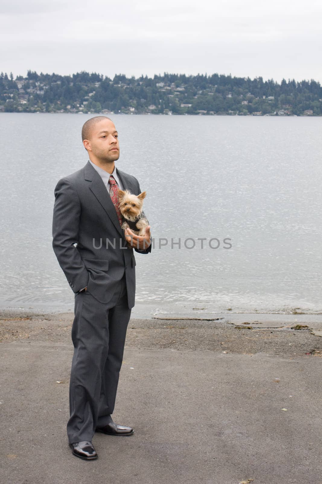 Ethnic Business Man and Yorkshire Terrier Dog are standing next to the lake. He is dressed in a suit and tie and seems to be contemplating something.