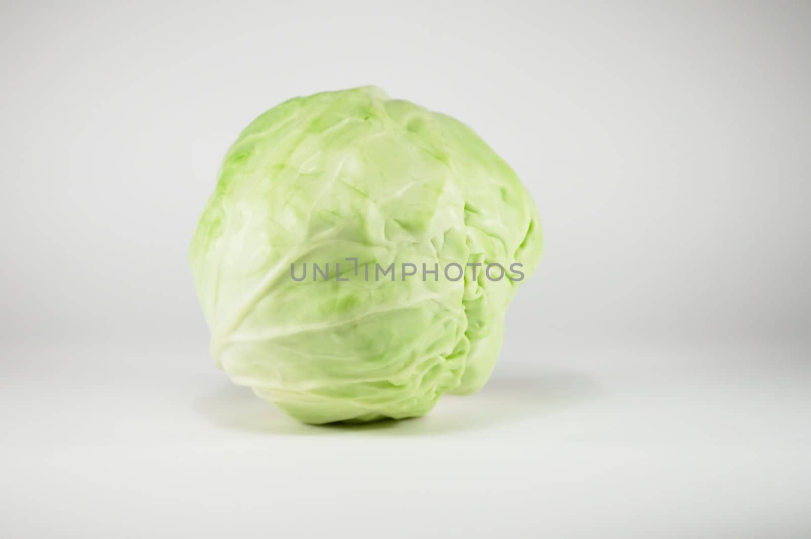 fresh green cabbage