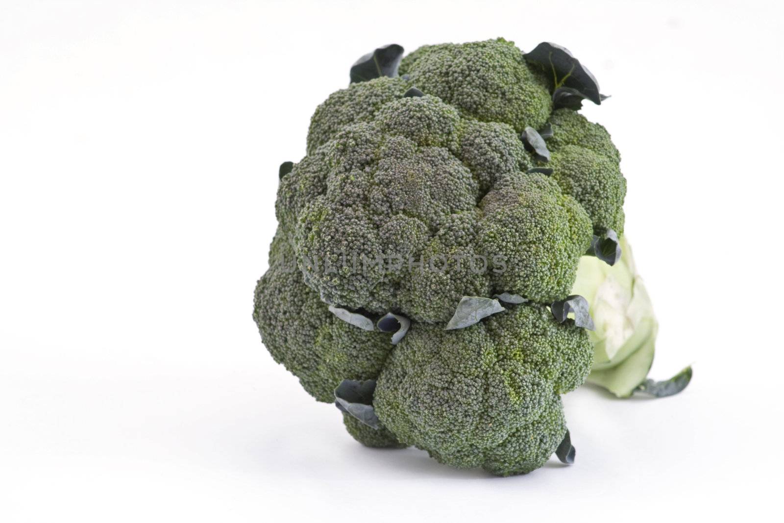 fresh green broccoli on a white background