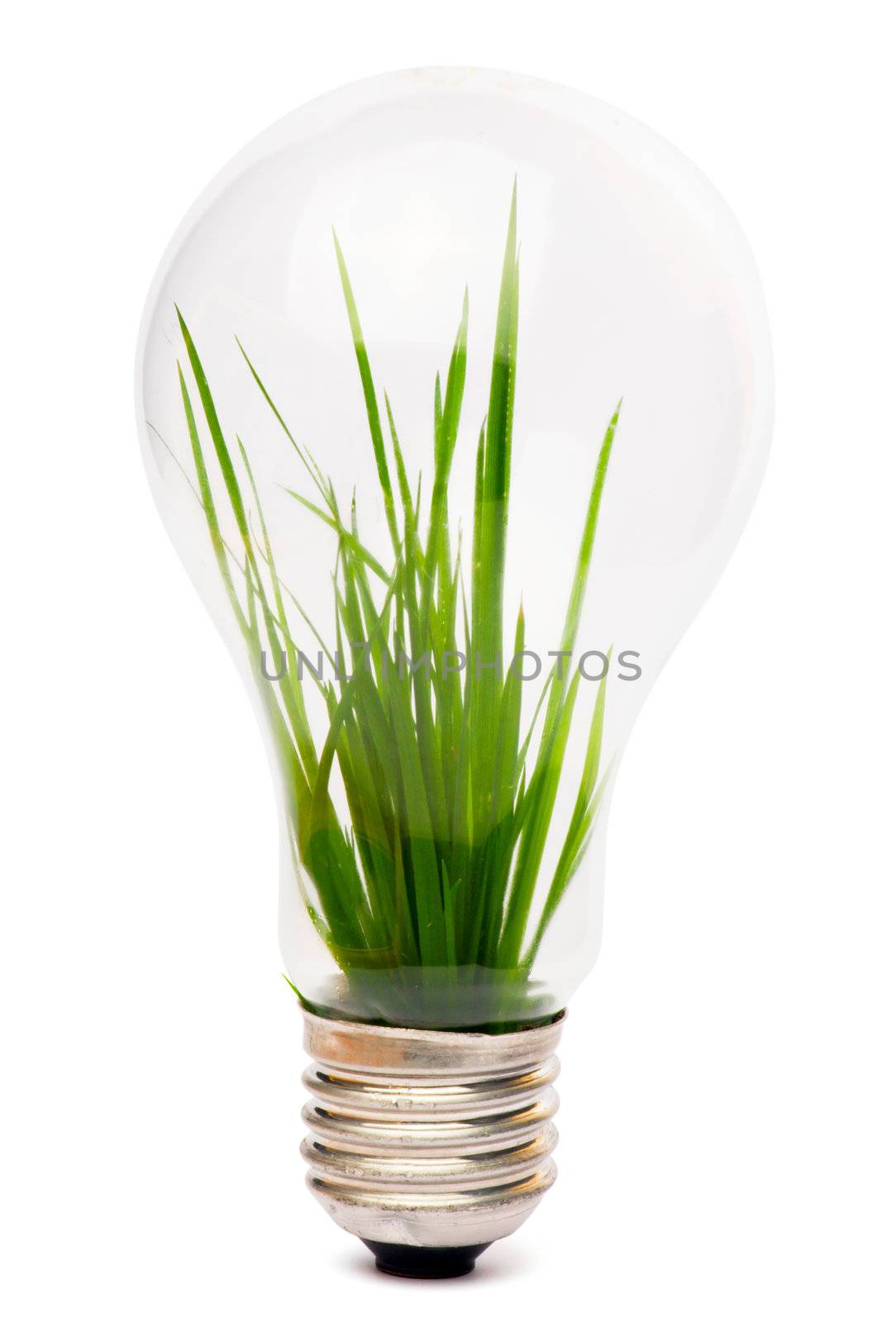 lightbulb with plant growing inside by Bedolaga