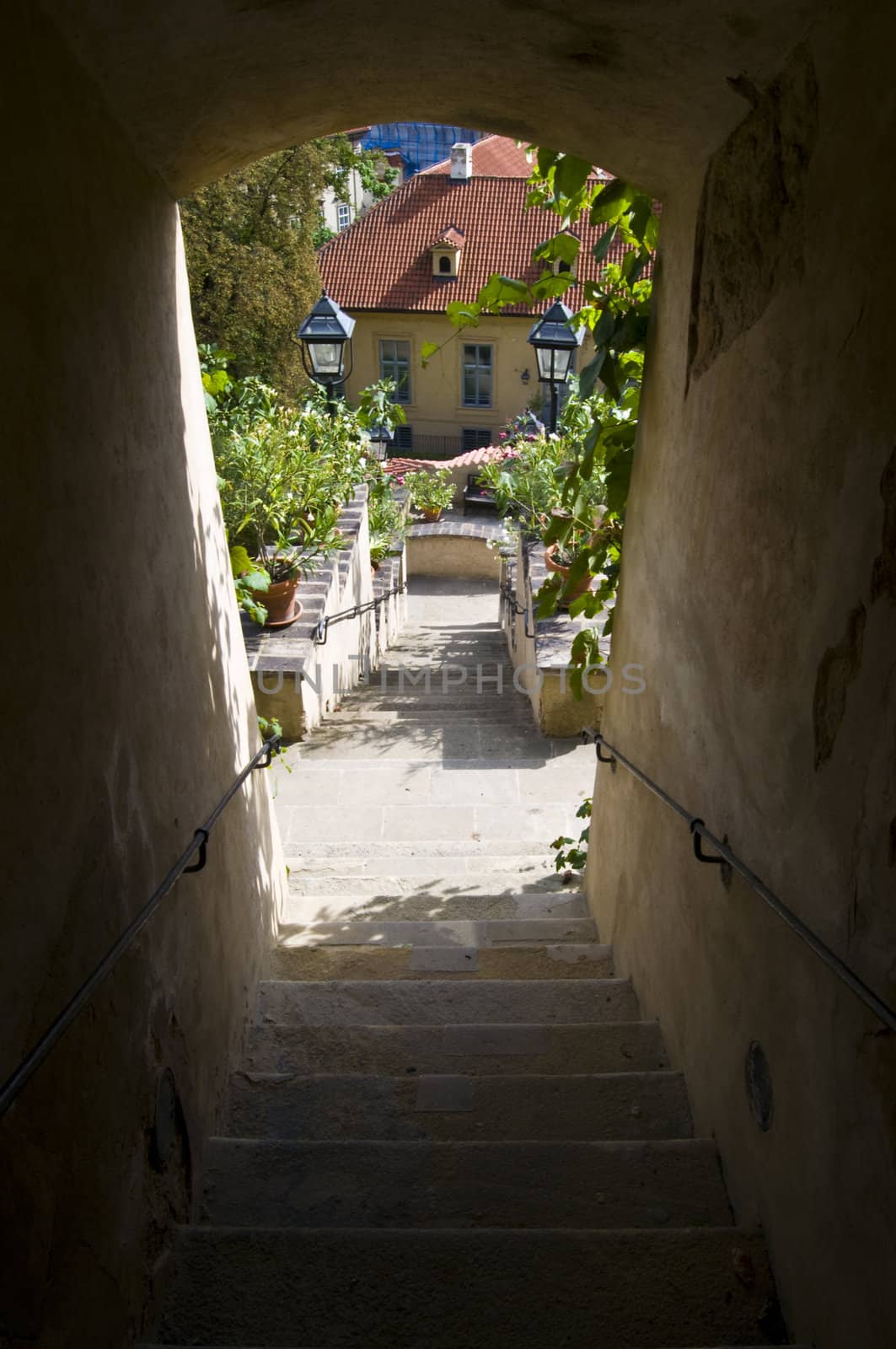 beautiful garden below the famous castle of Prague