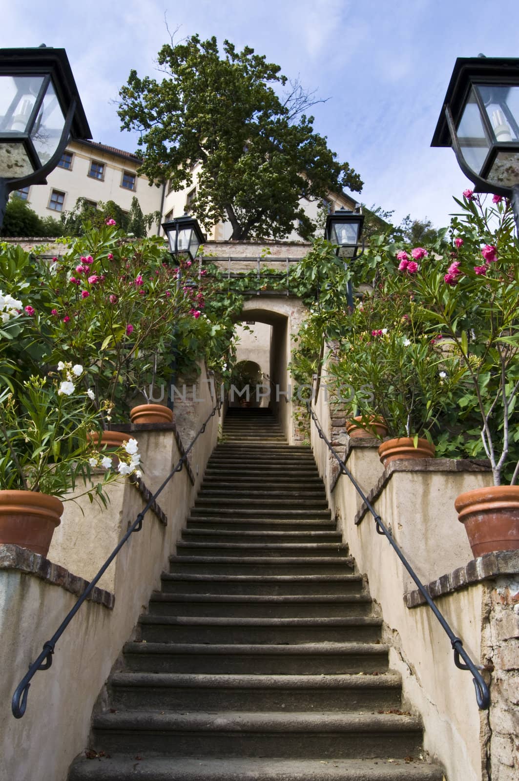 beautiful garden below the famous castle of Prague