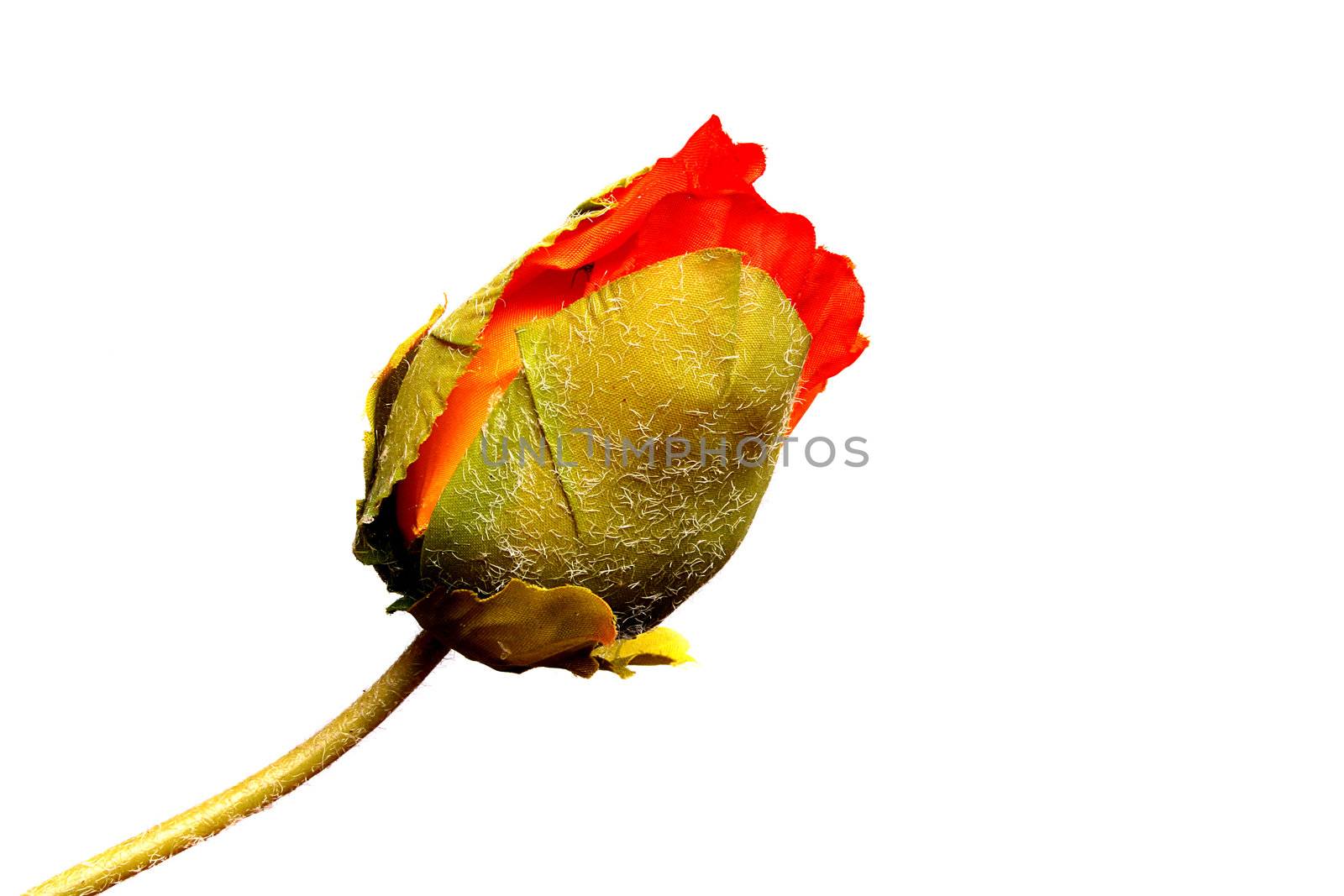 The red poppy, flower is made of artificial materials.
