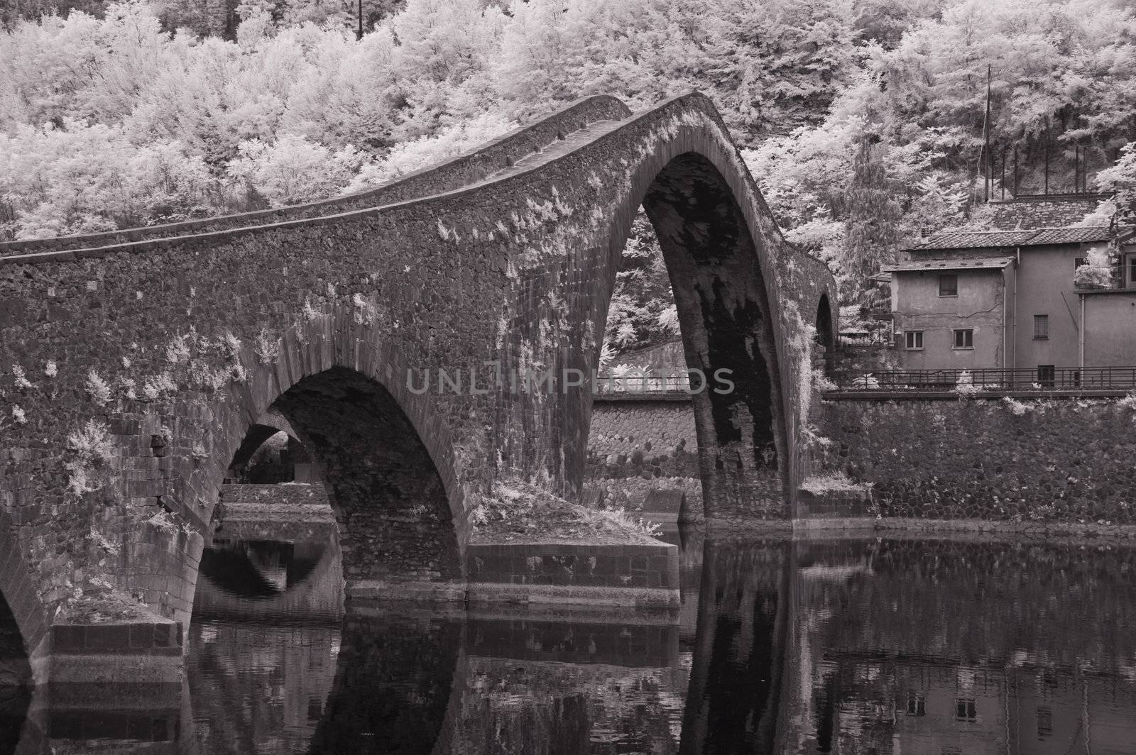 Devils Bridge, Garfagnana, Italy by jovannig