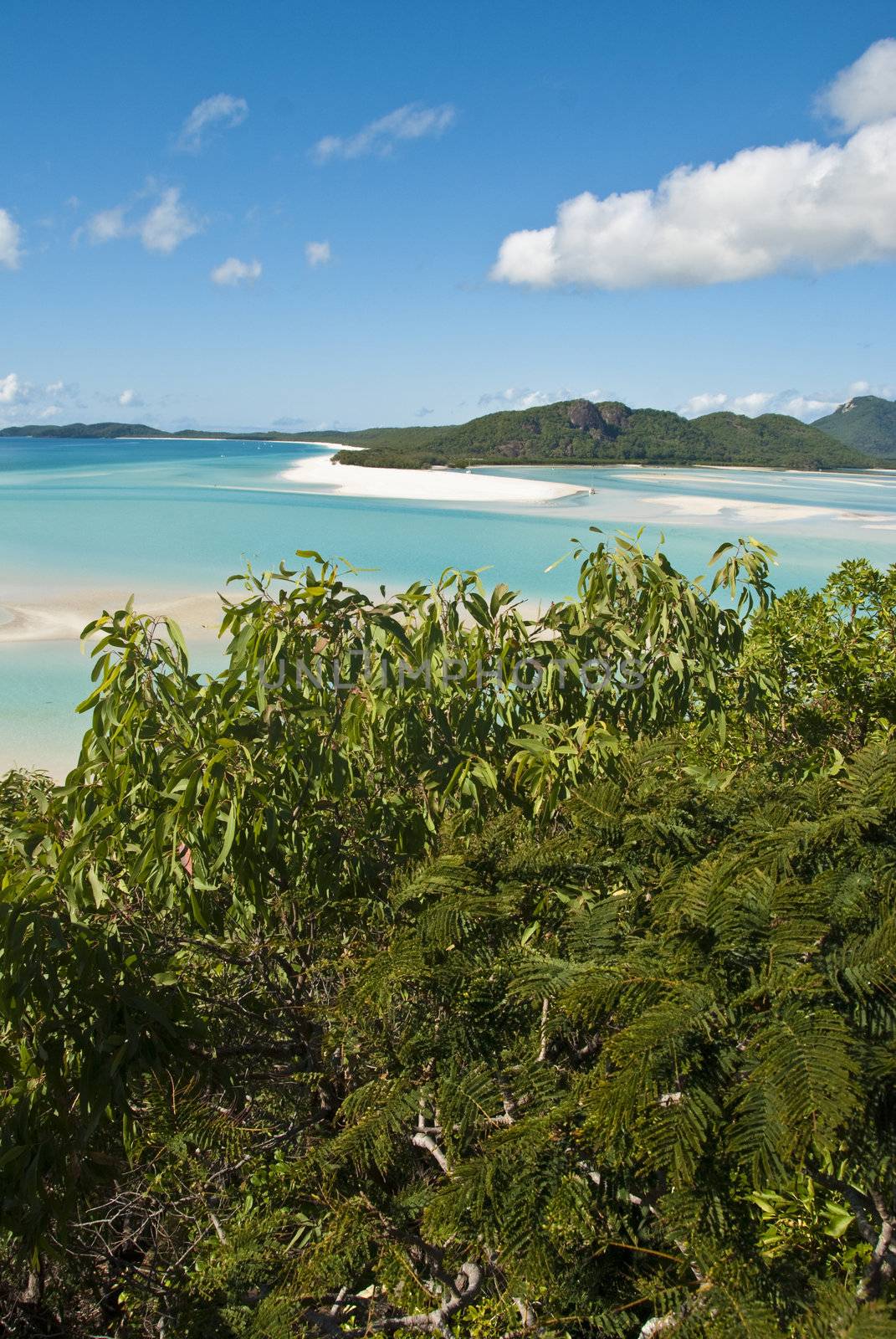 A stunning view of Whitehaven Beach in the Whitsunday Islands