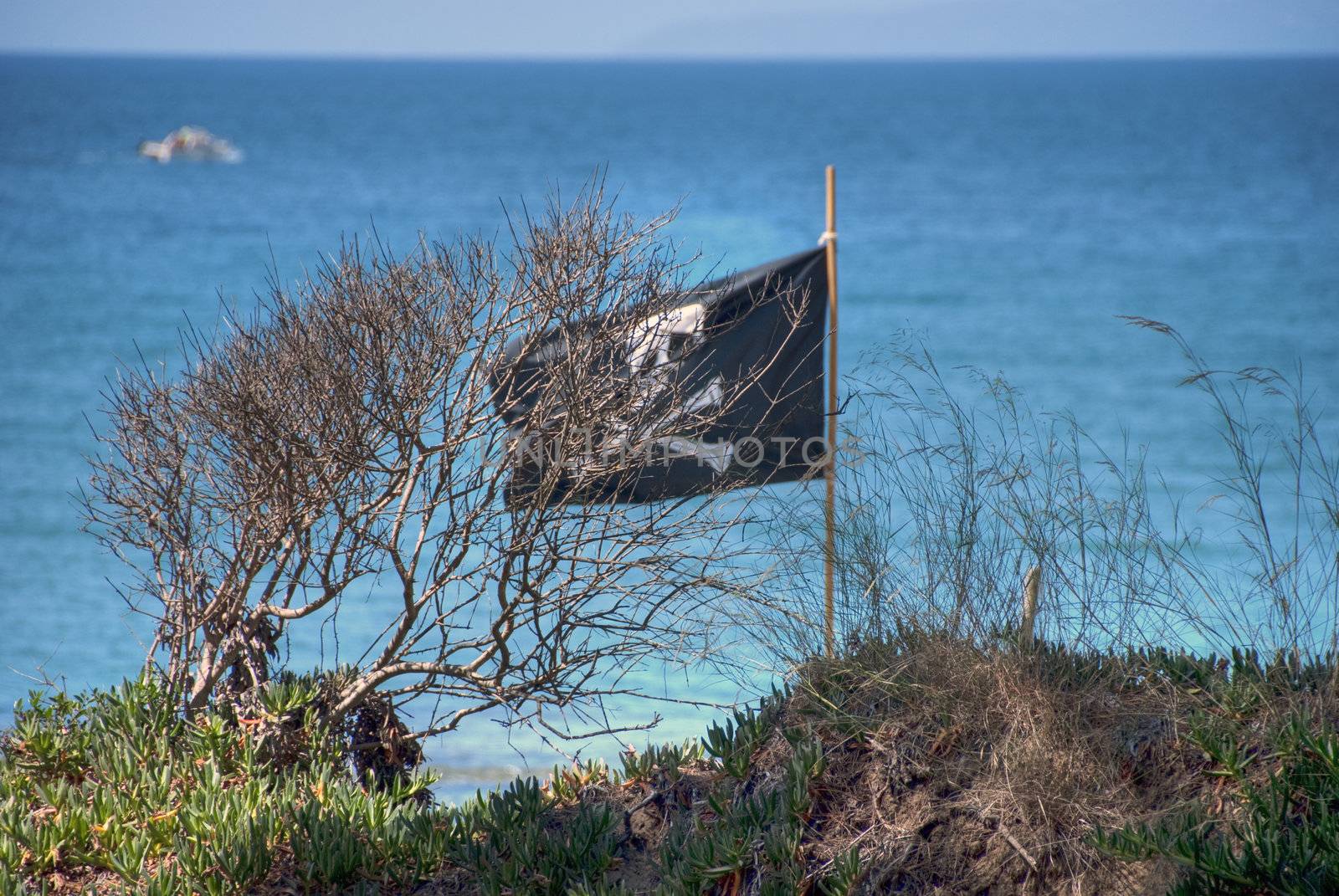 Pirates Flag on a Tuscan Beach, July 2007 by jovannig