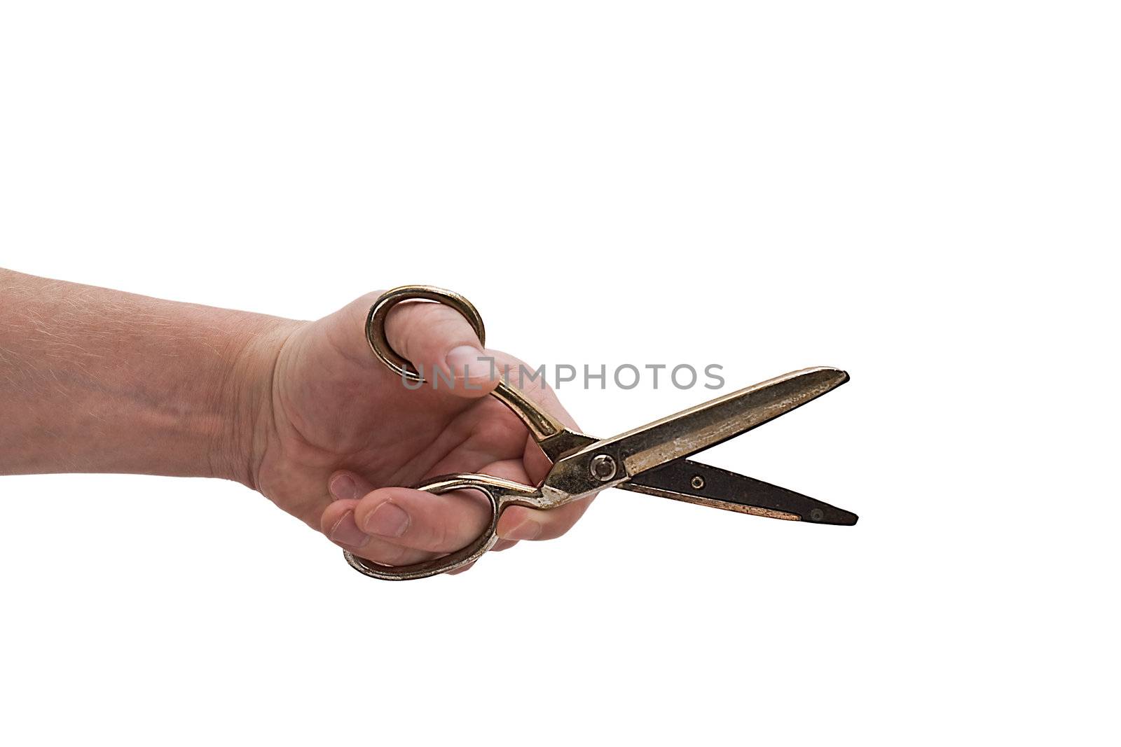 an isolated over white hand hodling a pair of shiny golden antique dress makers scissors.